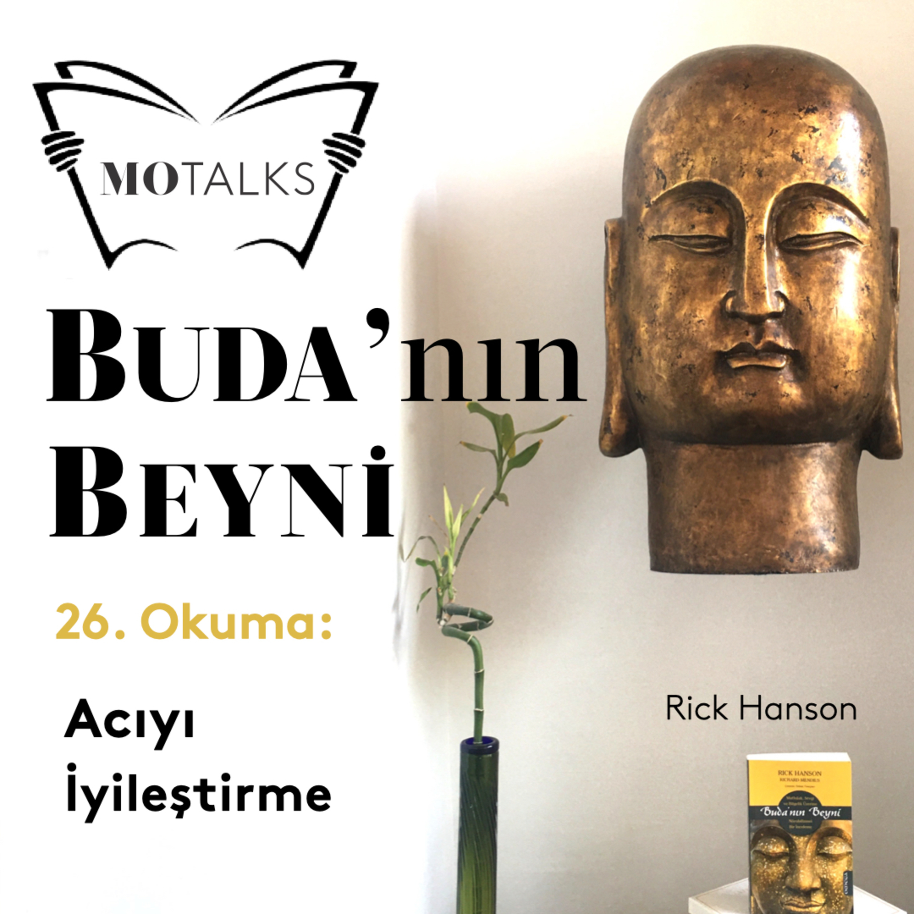 26. Okuma I Buda’nın Beyni: Acıyı İyileştirme