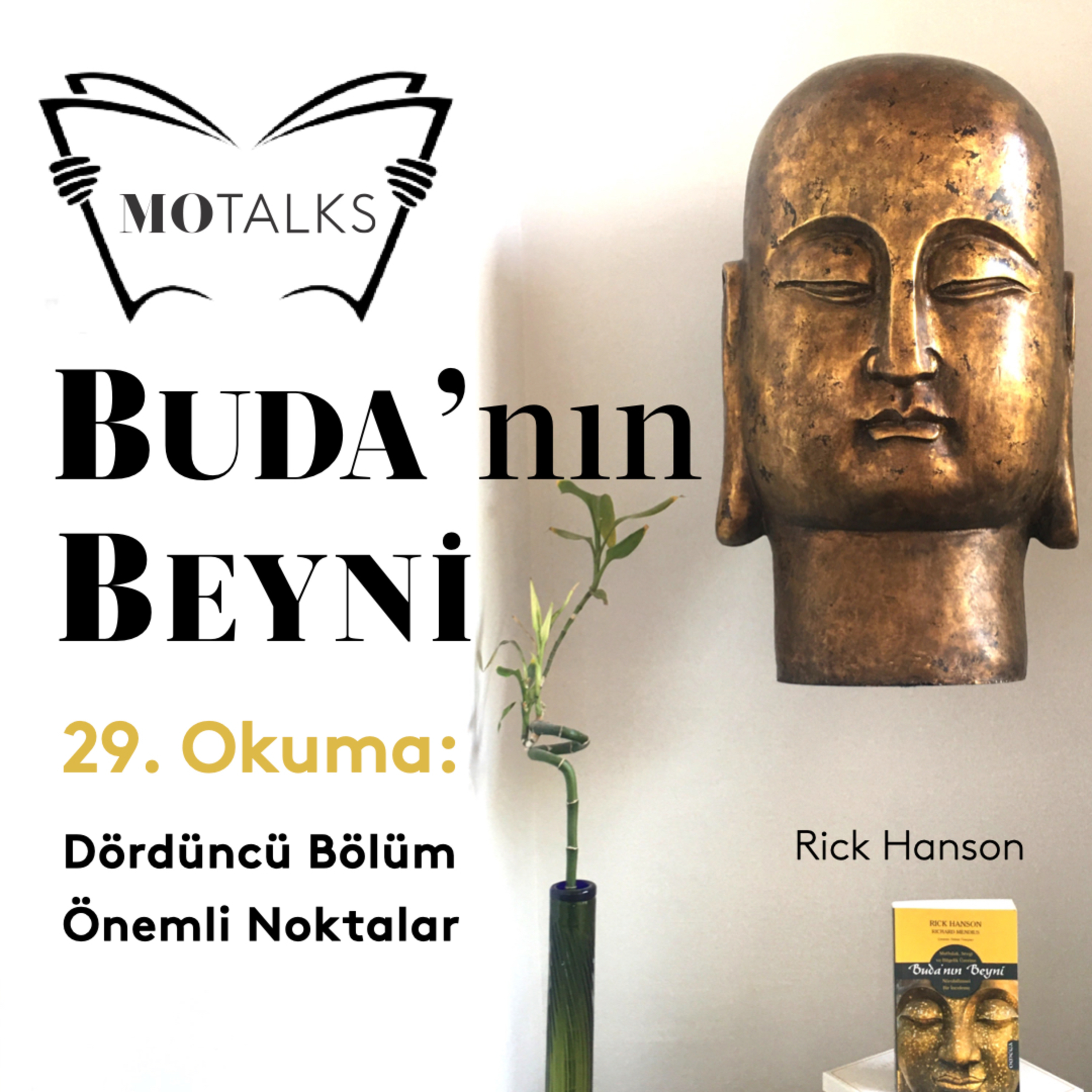 29. Okuma I Buda’nın Beyni: Dördüncü Bölüm Önemli Noktalar