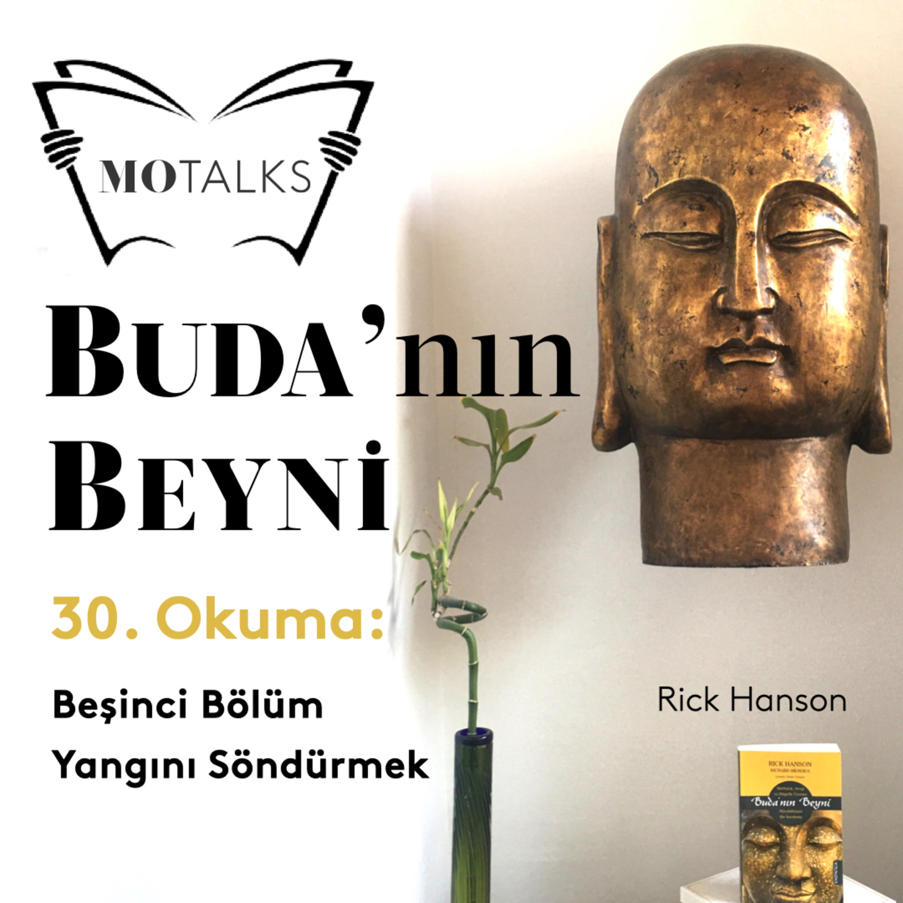 30. Okuma I Buda’nın Beyni: 5.Bölüm Yangını Söndürmek