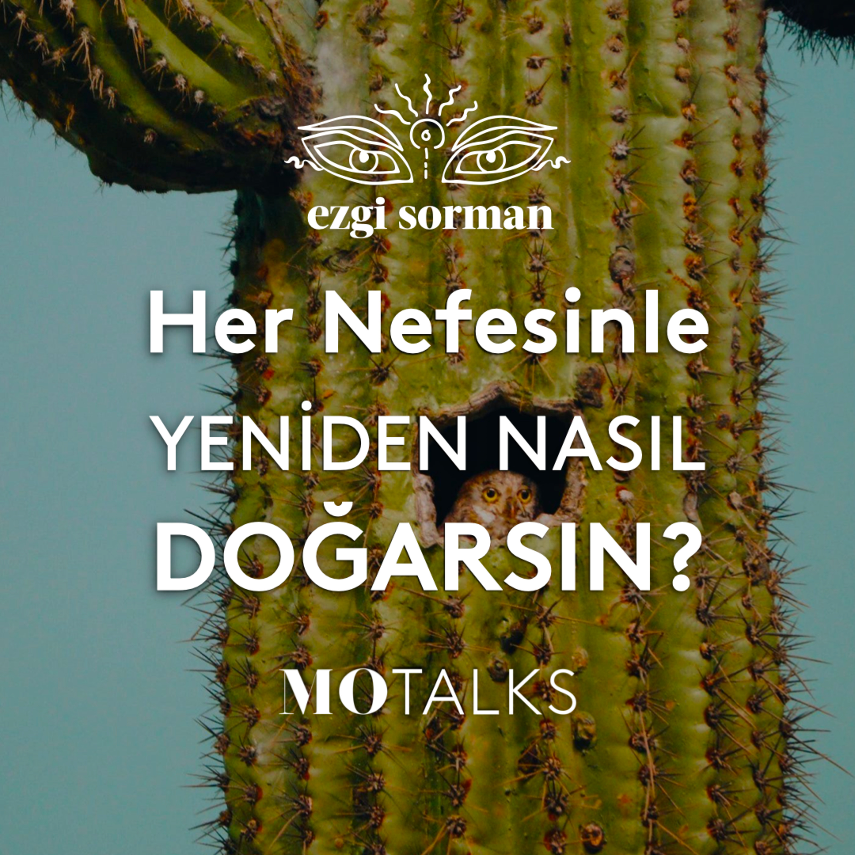 50 I Sabah Meditasyonu: Her Nefesinle Yeniden Nasıl Doğarsın?
