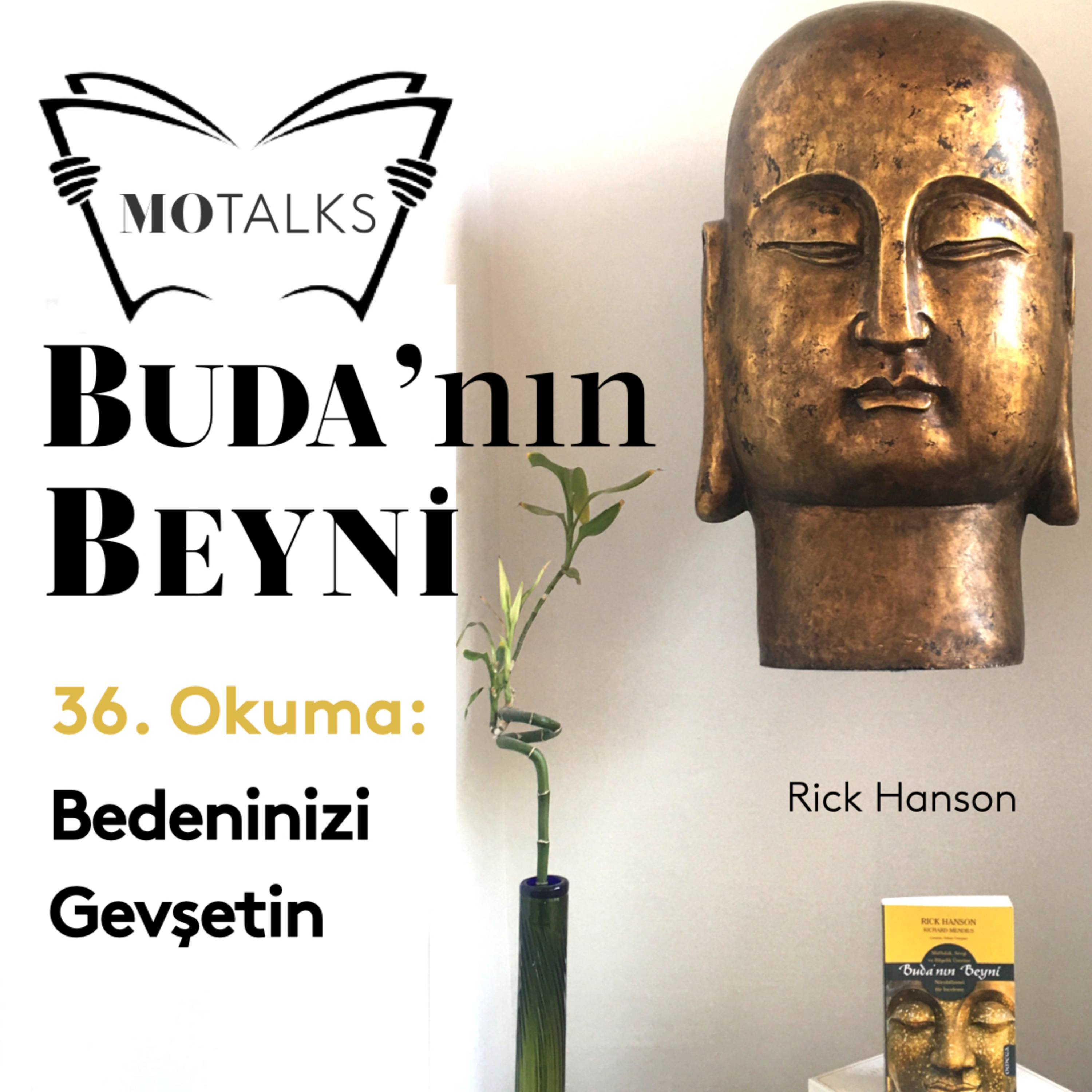 36.Okuma I Buda’nın Beyni: Bedeninizi Gevşetin
