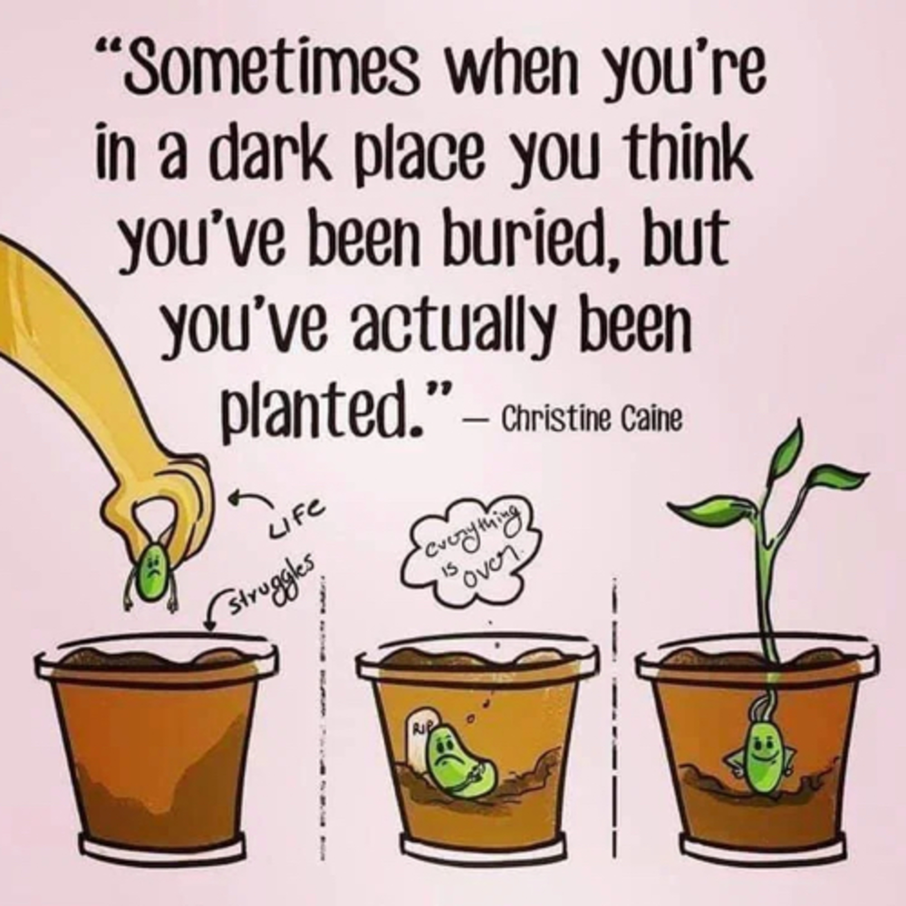 Ep. (0): Planted vs. Buried  episode artwork