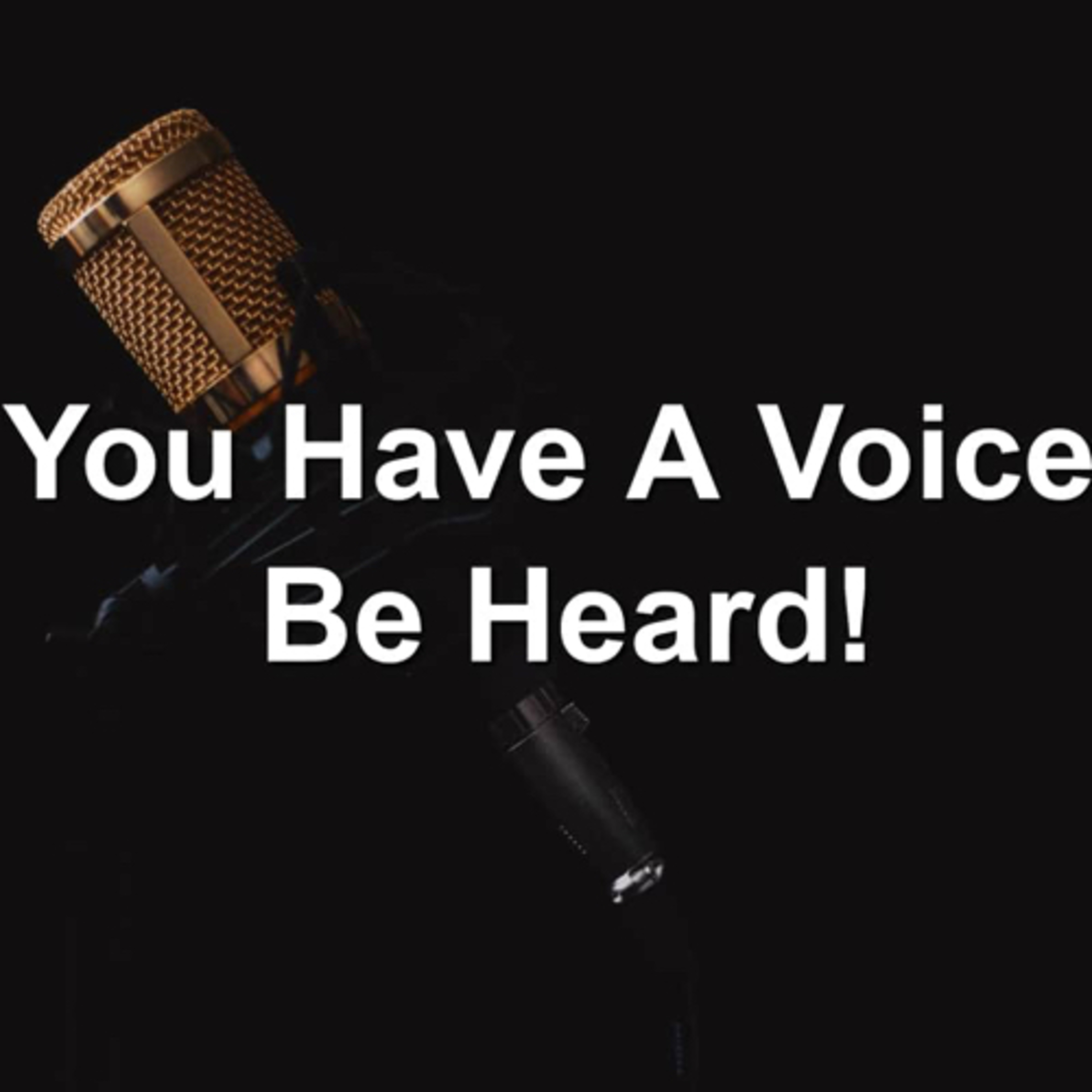 Ep. 40 RTB: You HAVE a Voice NCO/SNCO; keep LEADING!! episode artwork