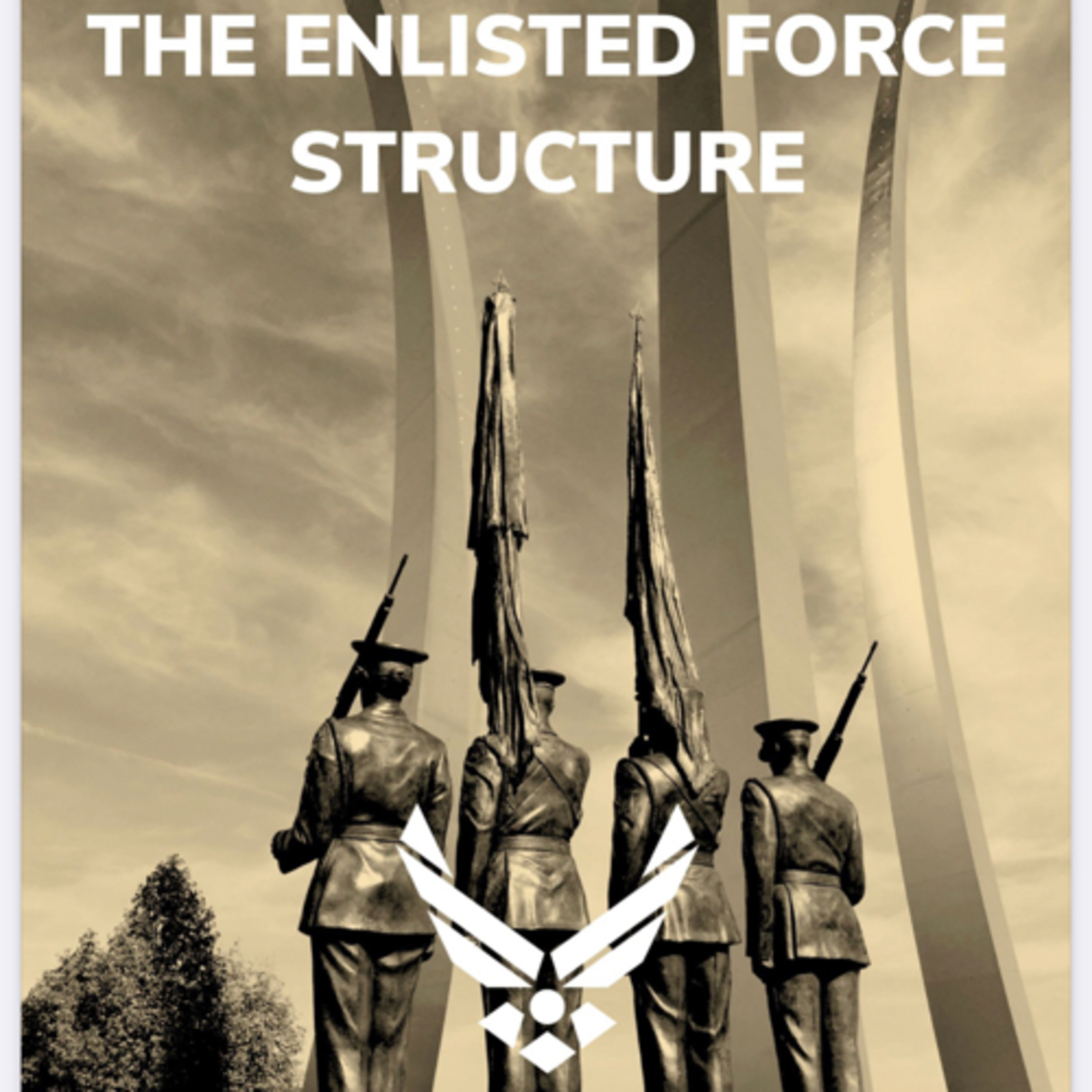 Ep. 48: (USAF specific) THE ENLISTED FORCE STRUCTURE episode artwork