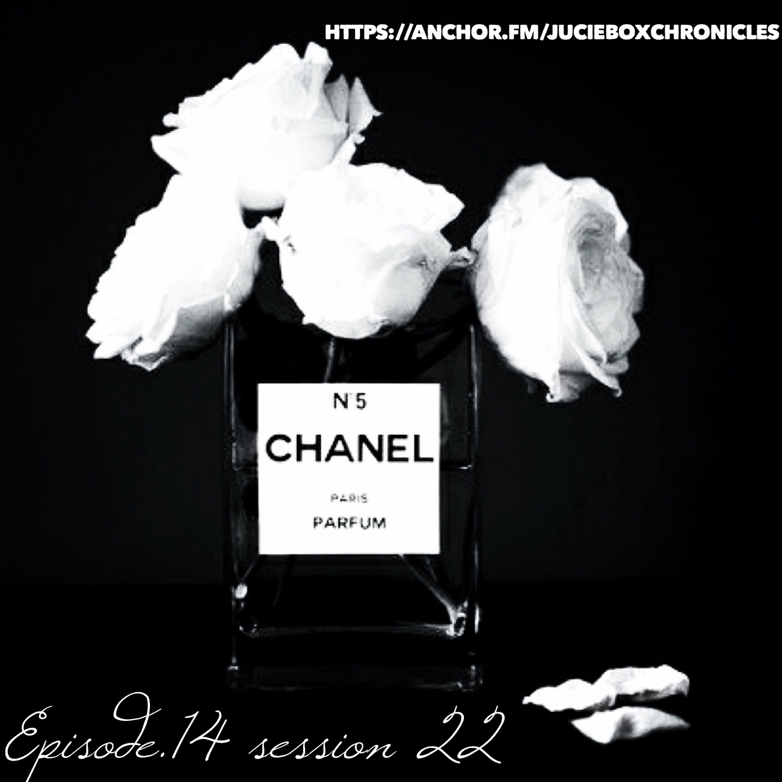 Episode 14. Session 22 episode artwork