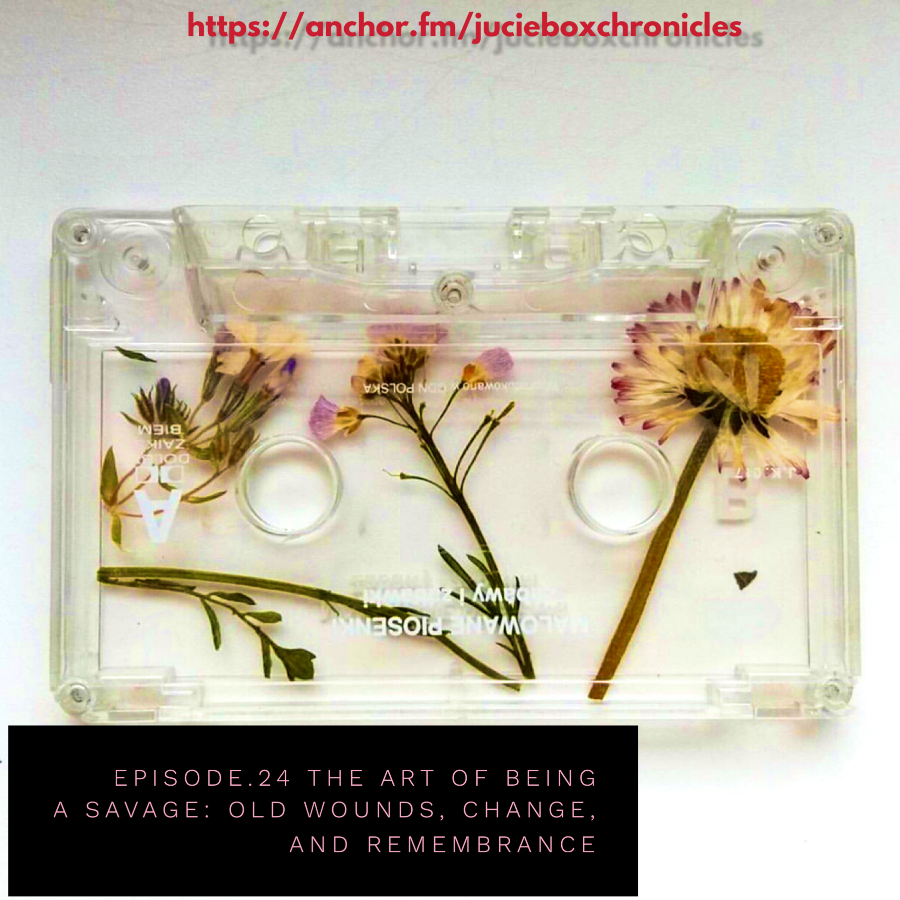 Episode.24 The art of being a savage episode artwork