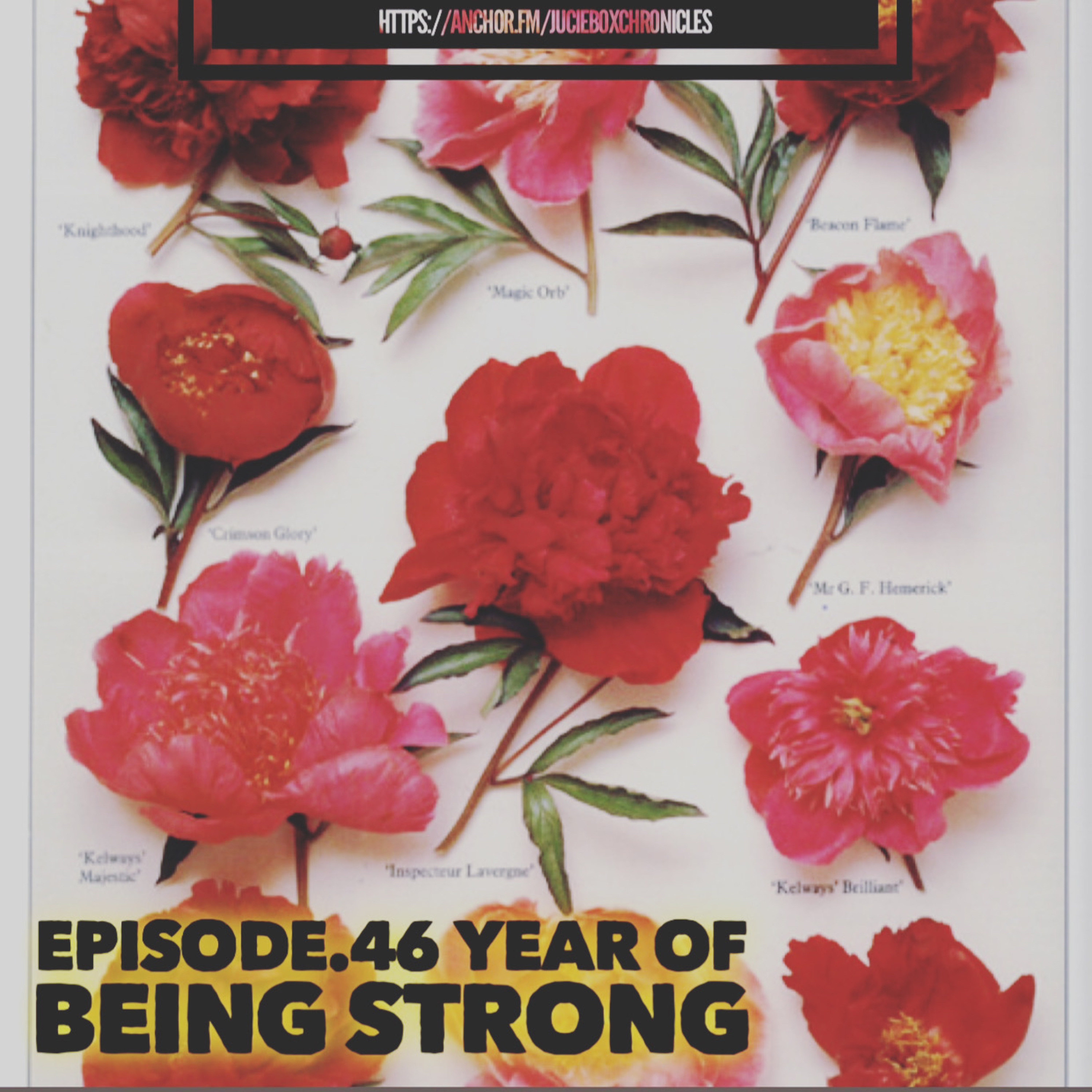 Episode.46 The year of being stronger  episode artwork