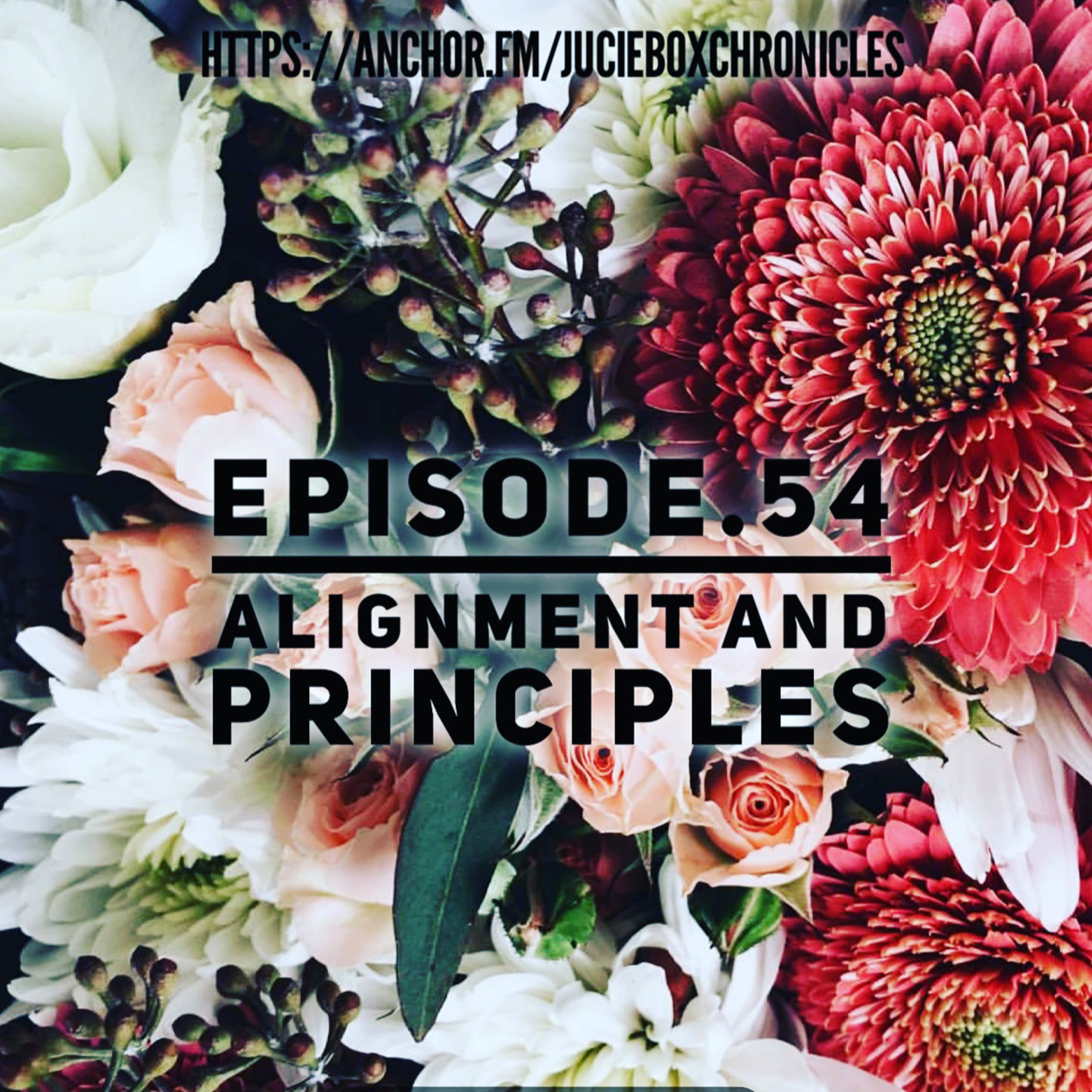 Episode.54 alignment and principles  episode artwork