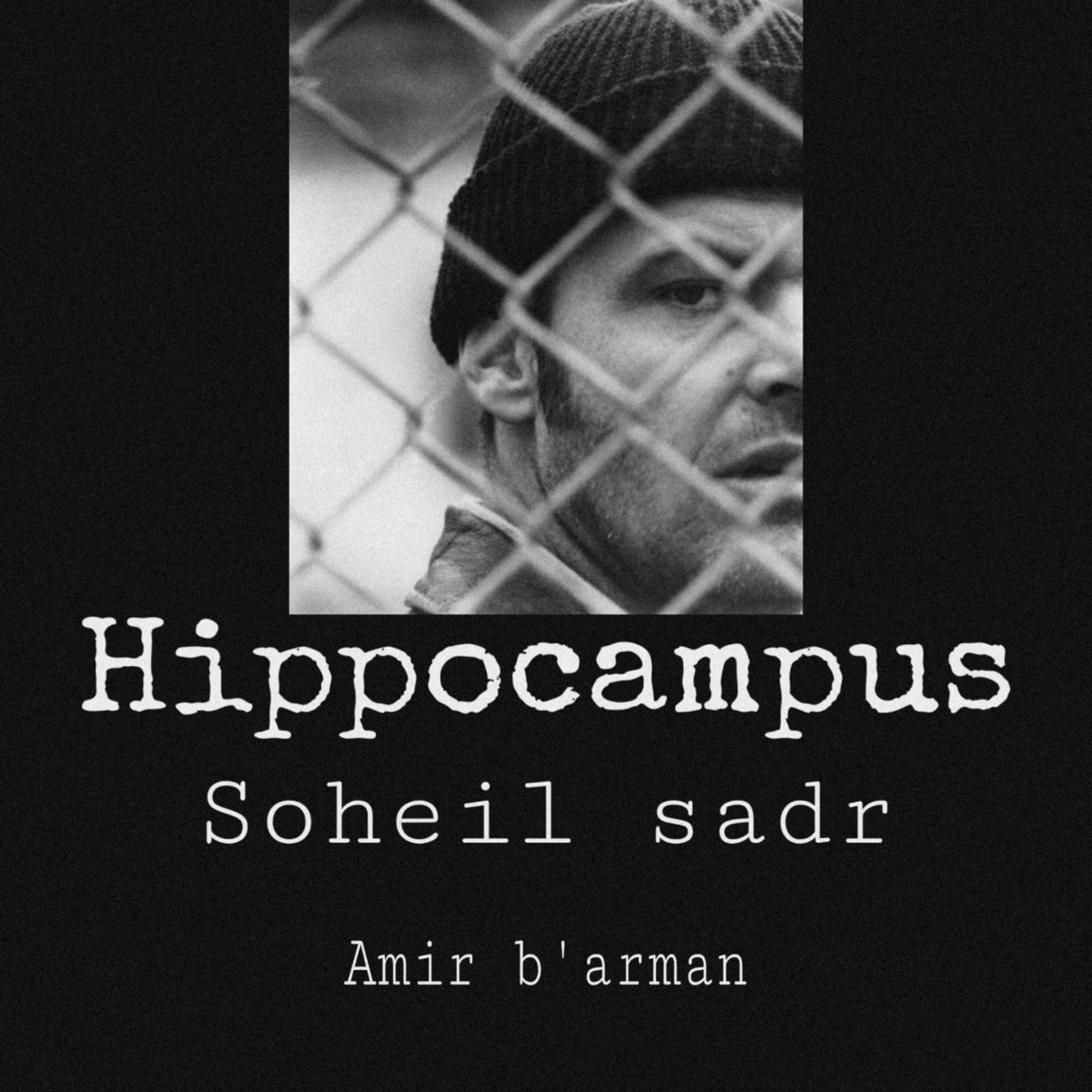 Hippocampus episode artwork