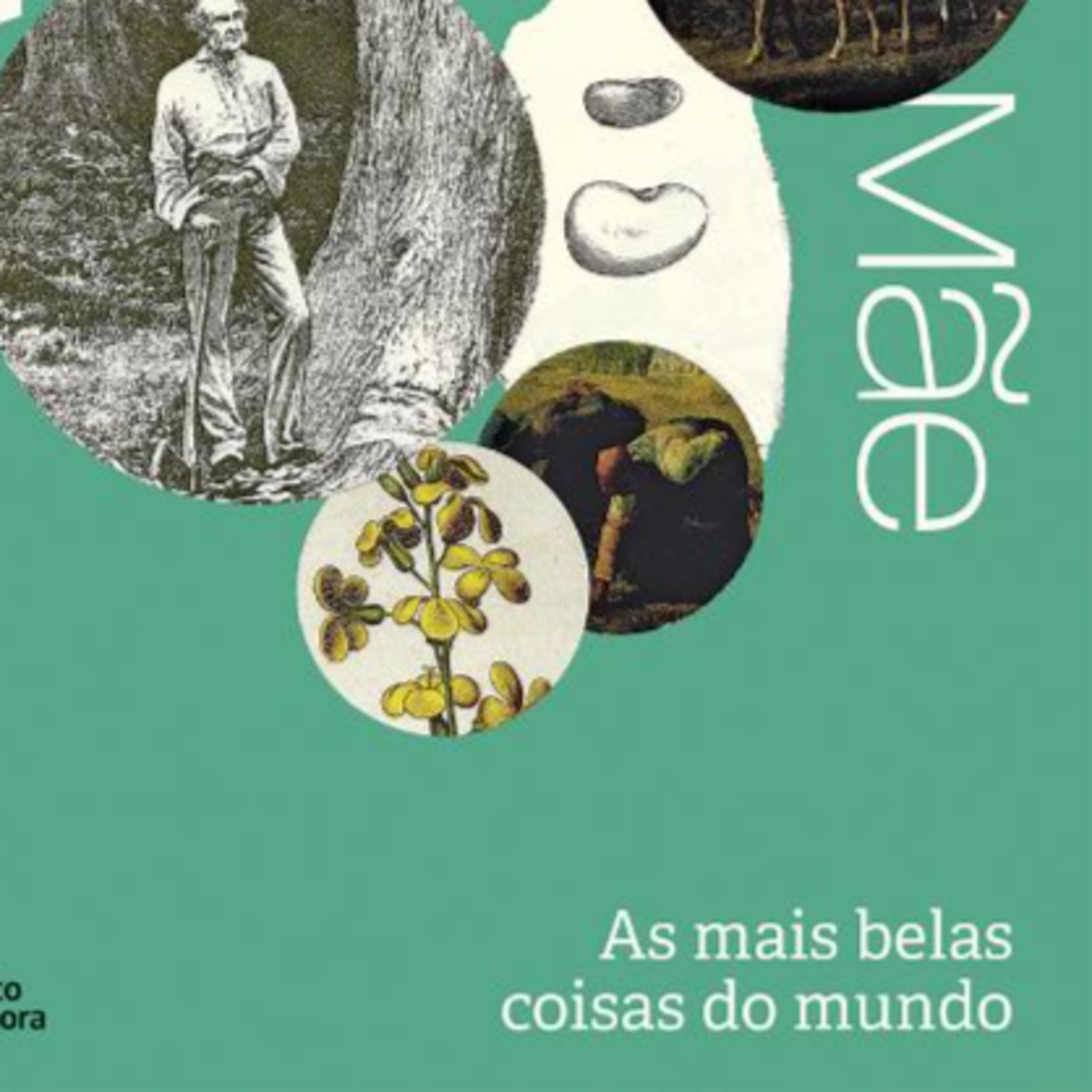 Lendo o mundo