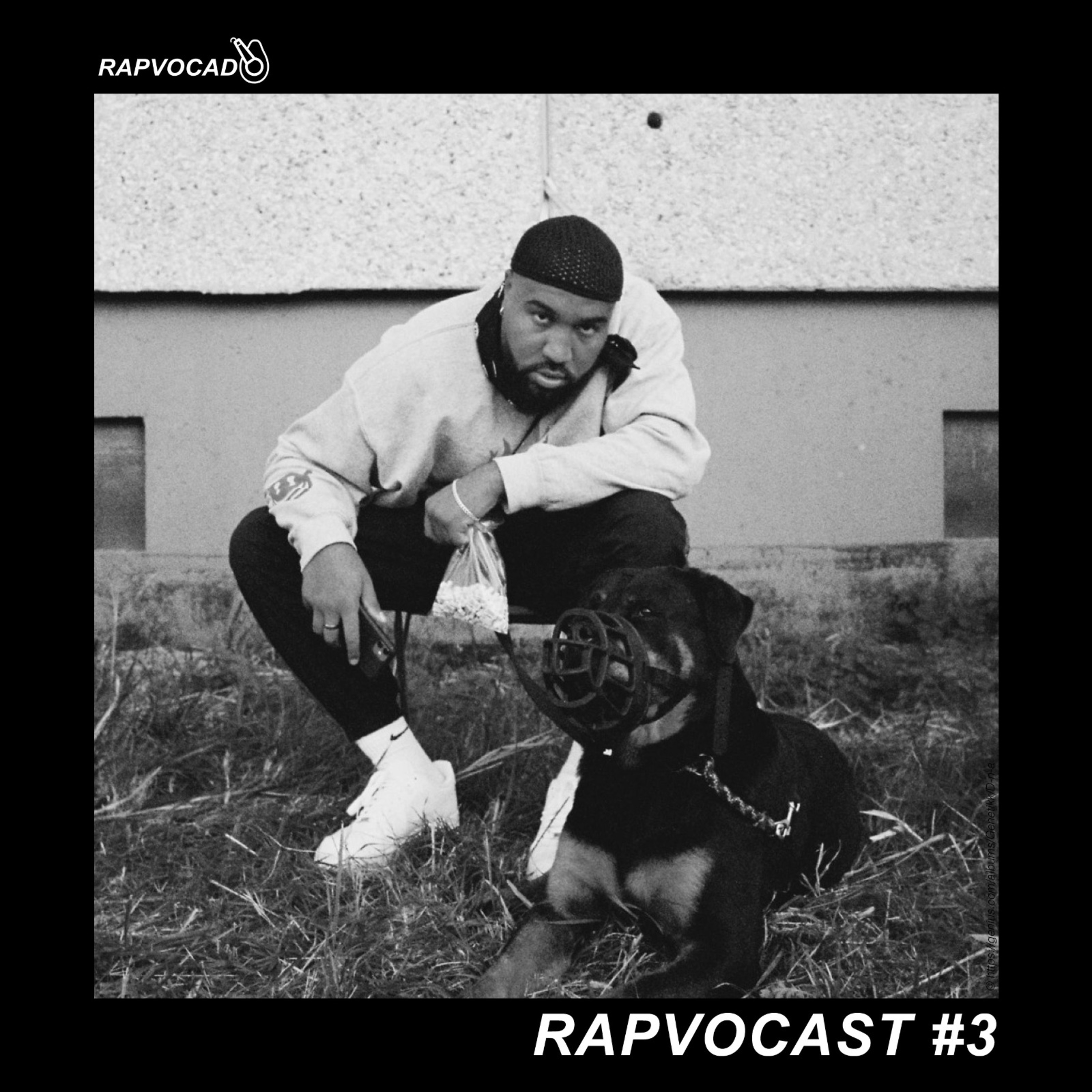 RAPVOCADO