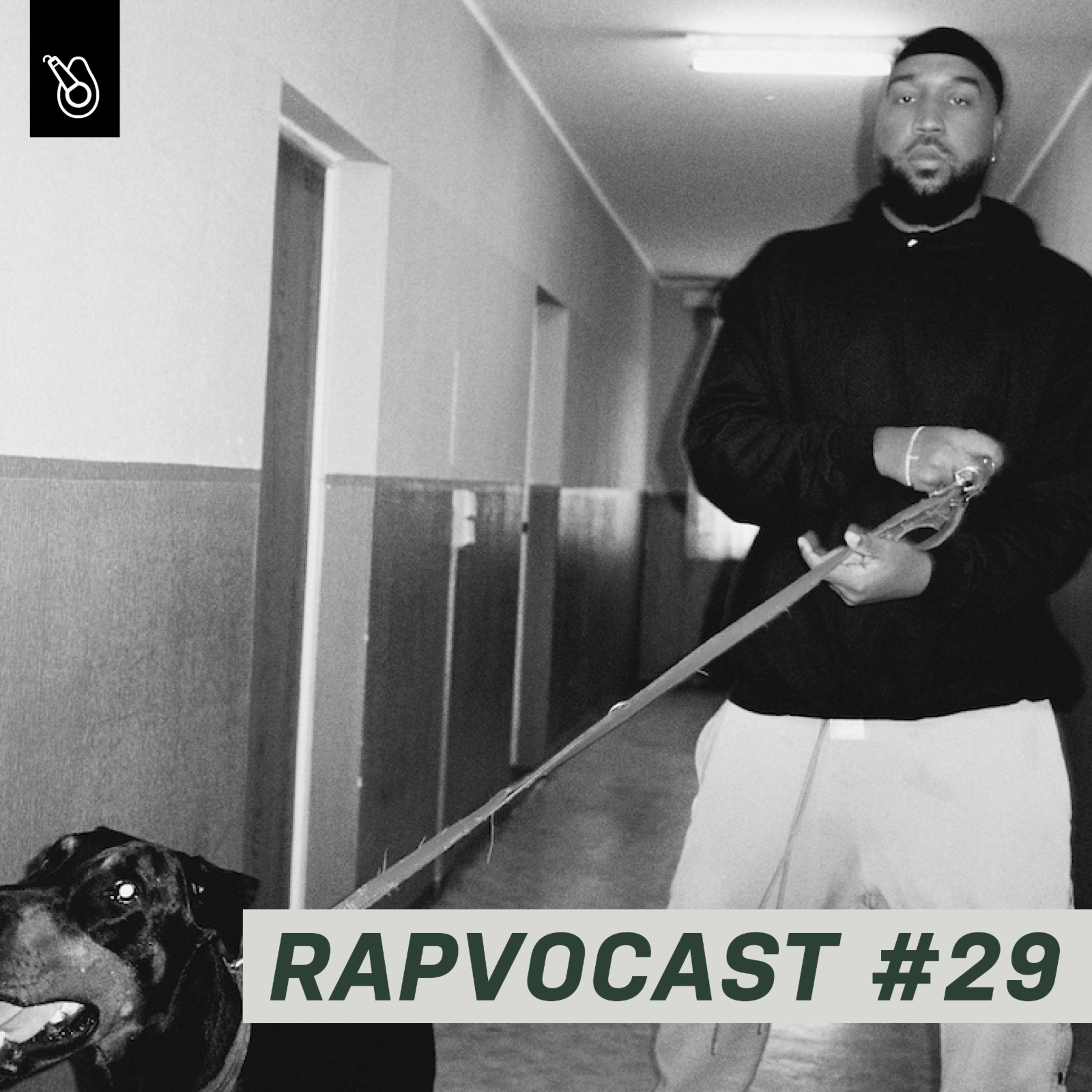 RAPVOCADO