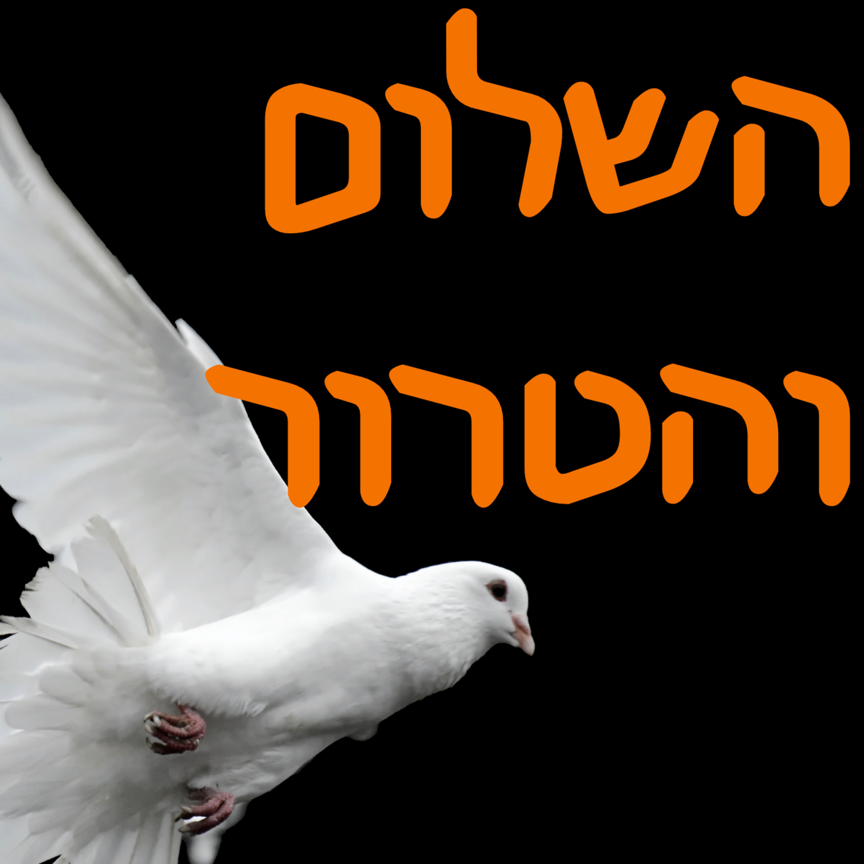 השלום והטרור episode artwork