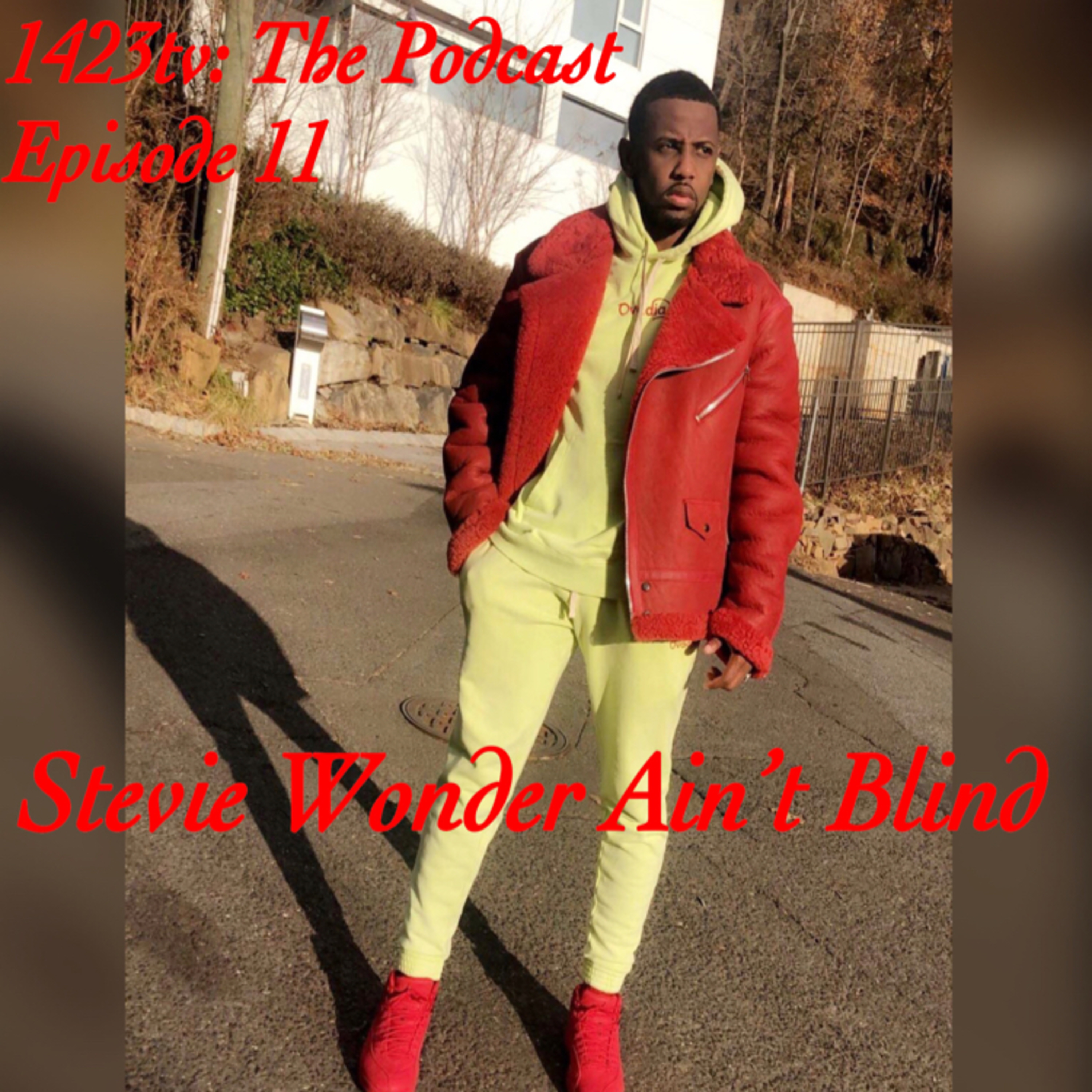 Episode 11 - Stevie Wonder Ain't Blind episode artwork