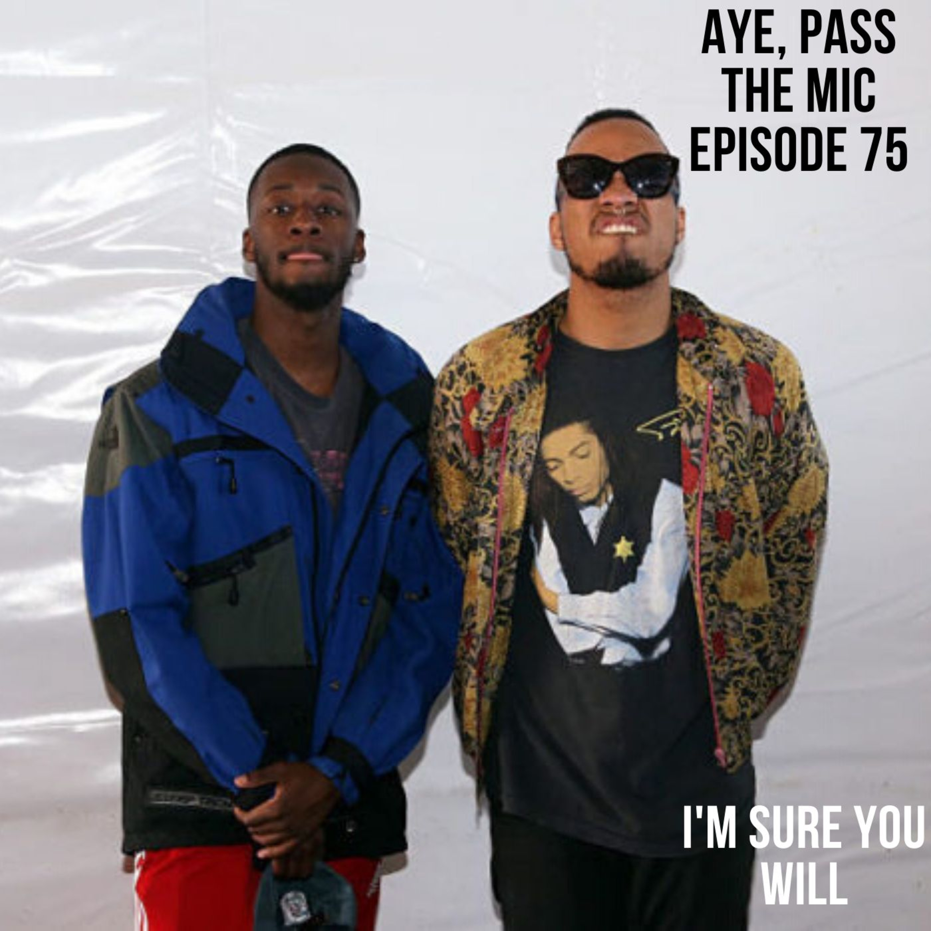 Episode 75 - I'm Sure You Will episode artwork