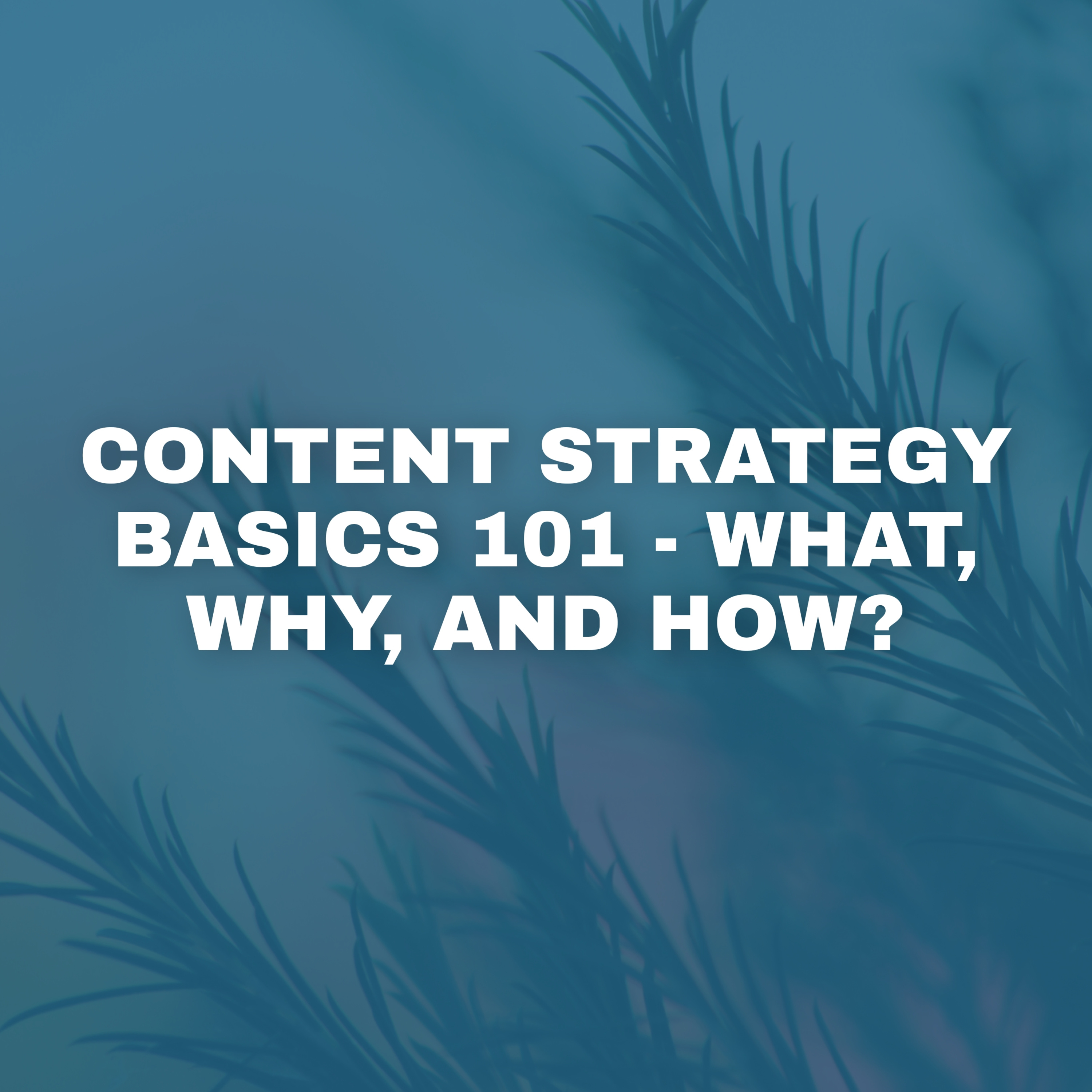 Sohaib Gadiwala AudioCast