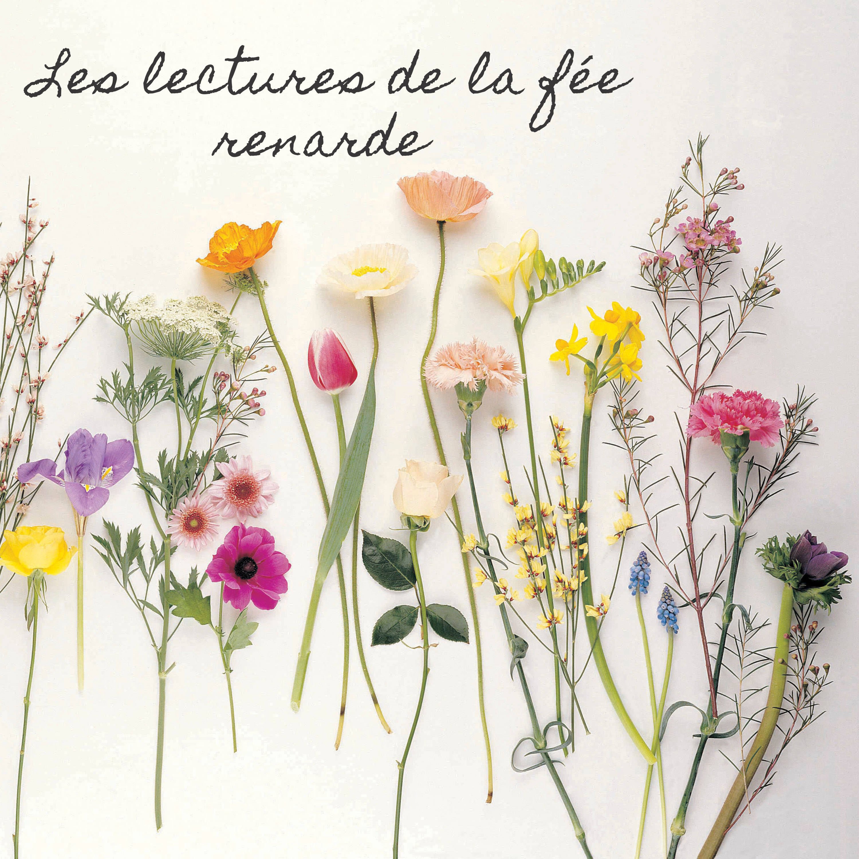 Bienvenue  episode artwork