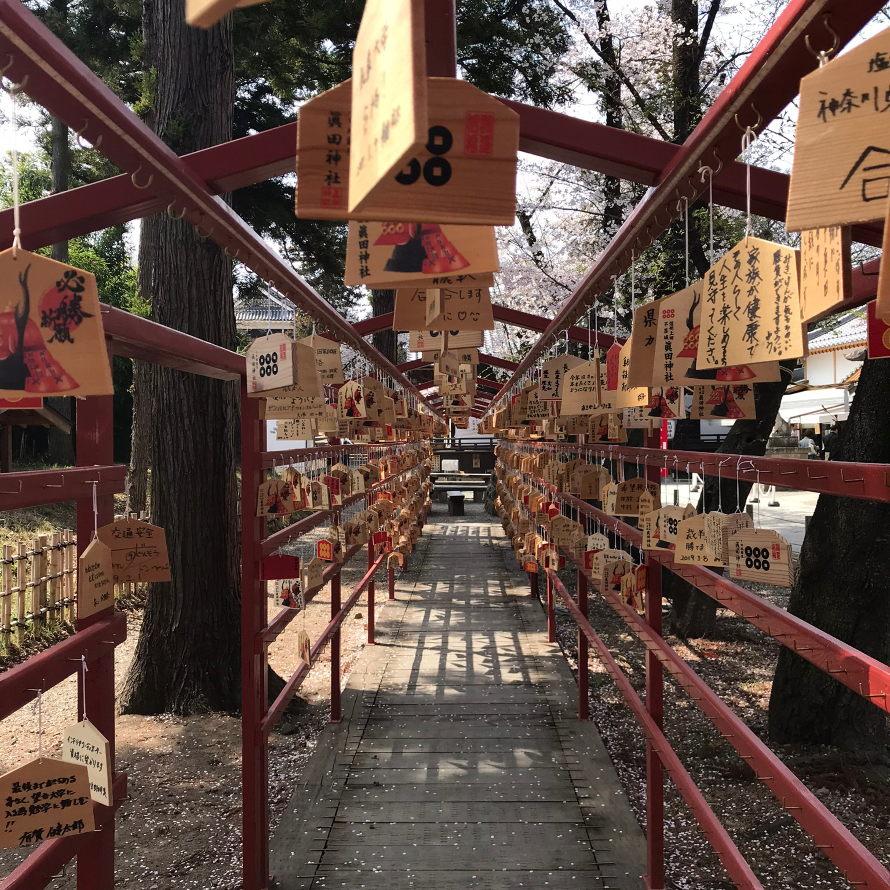 神社とお寺は違う？？？スピリチュアル、仏陀、ブッダ、仏教、悟り、目覚め、エンライトメント。 episode artwork