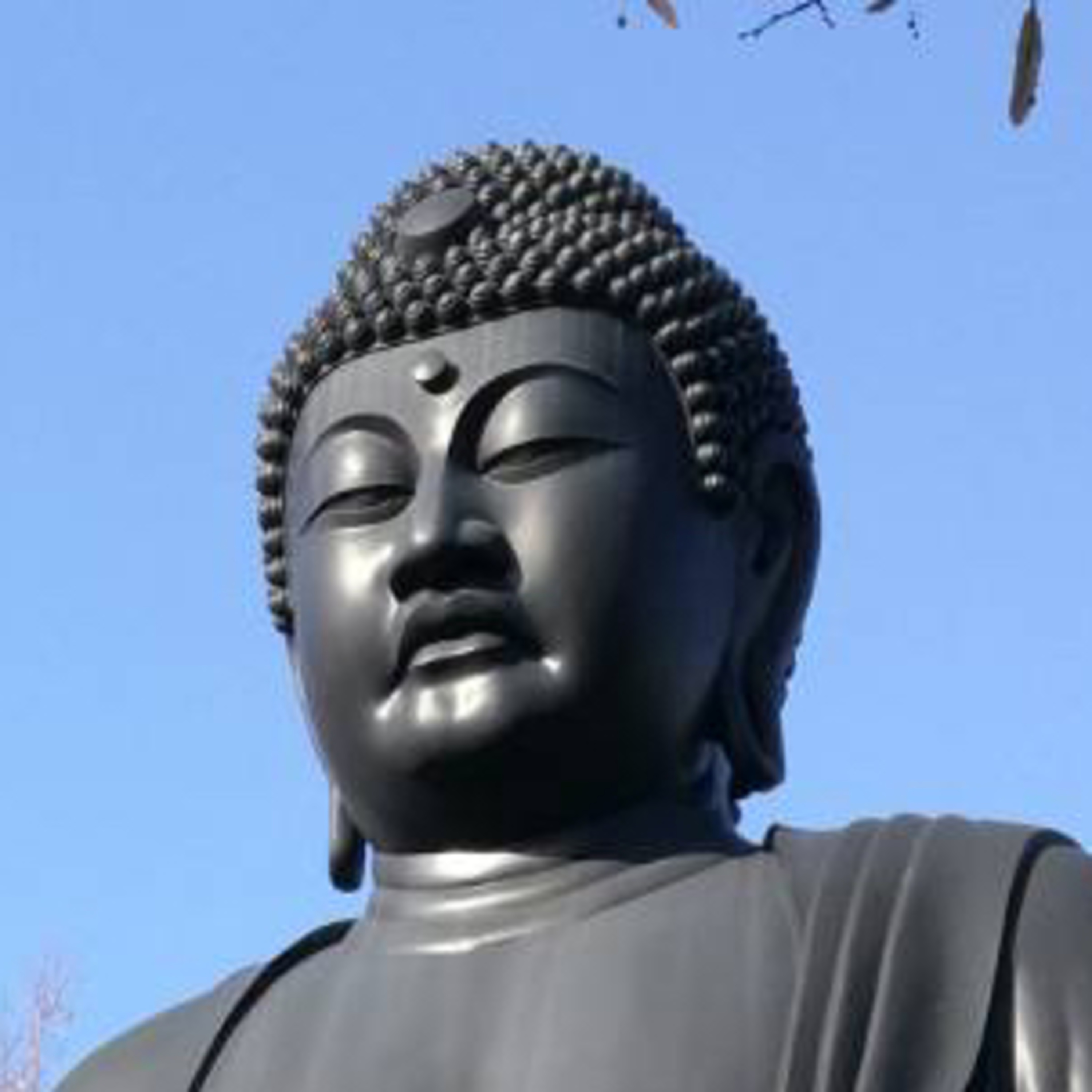 ゼロ、空、無？スピリチュアル、仏陀、ブッダ、仏教、悟り、目覚め、エンライトメント、アセンション。 episode artwork