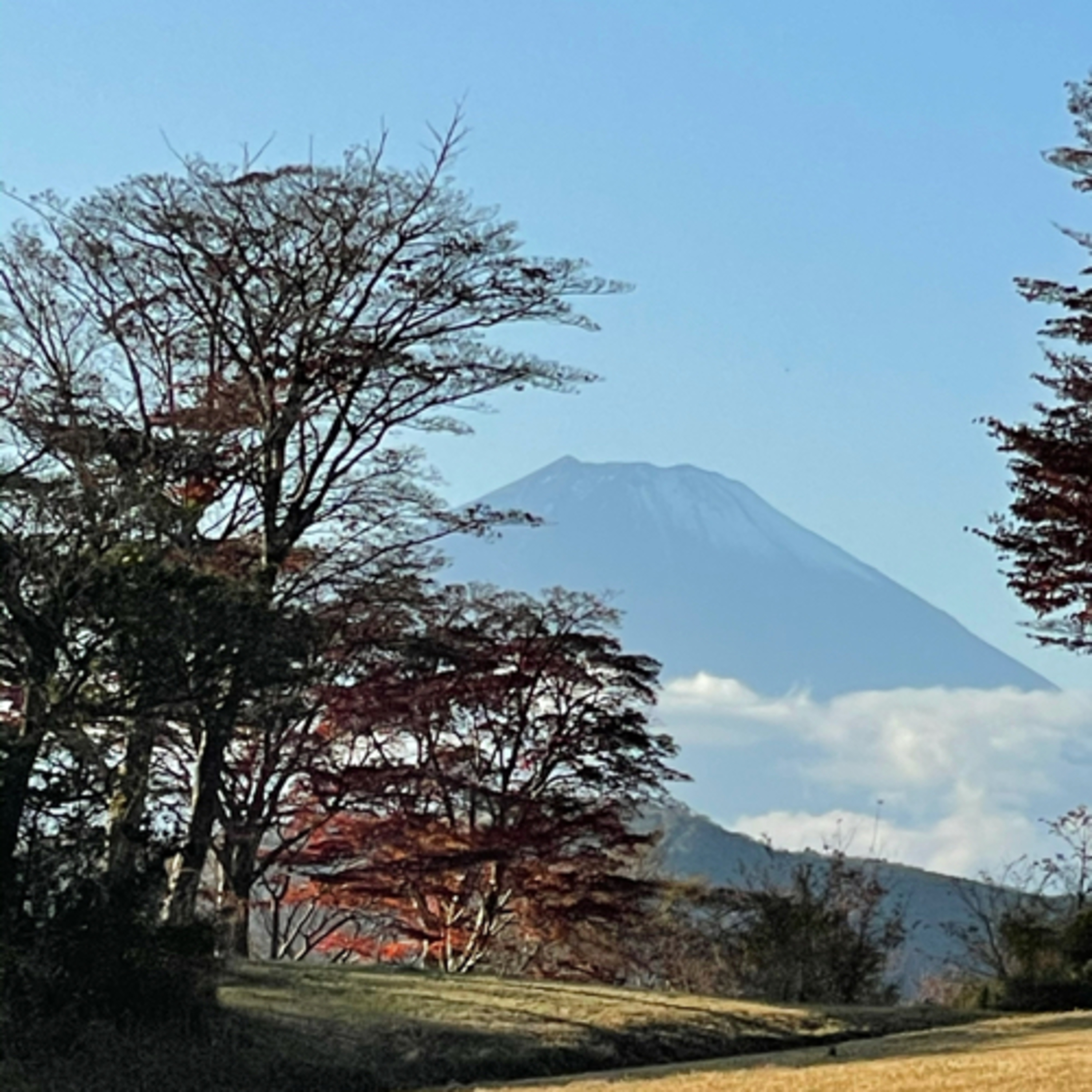 ご視聴様からのご質問、心、自我、私について。　#仏教 #スピリチュアル #仏陀 #ブッダ #アセンション episode artwork