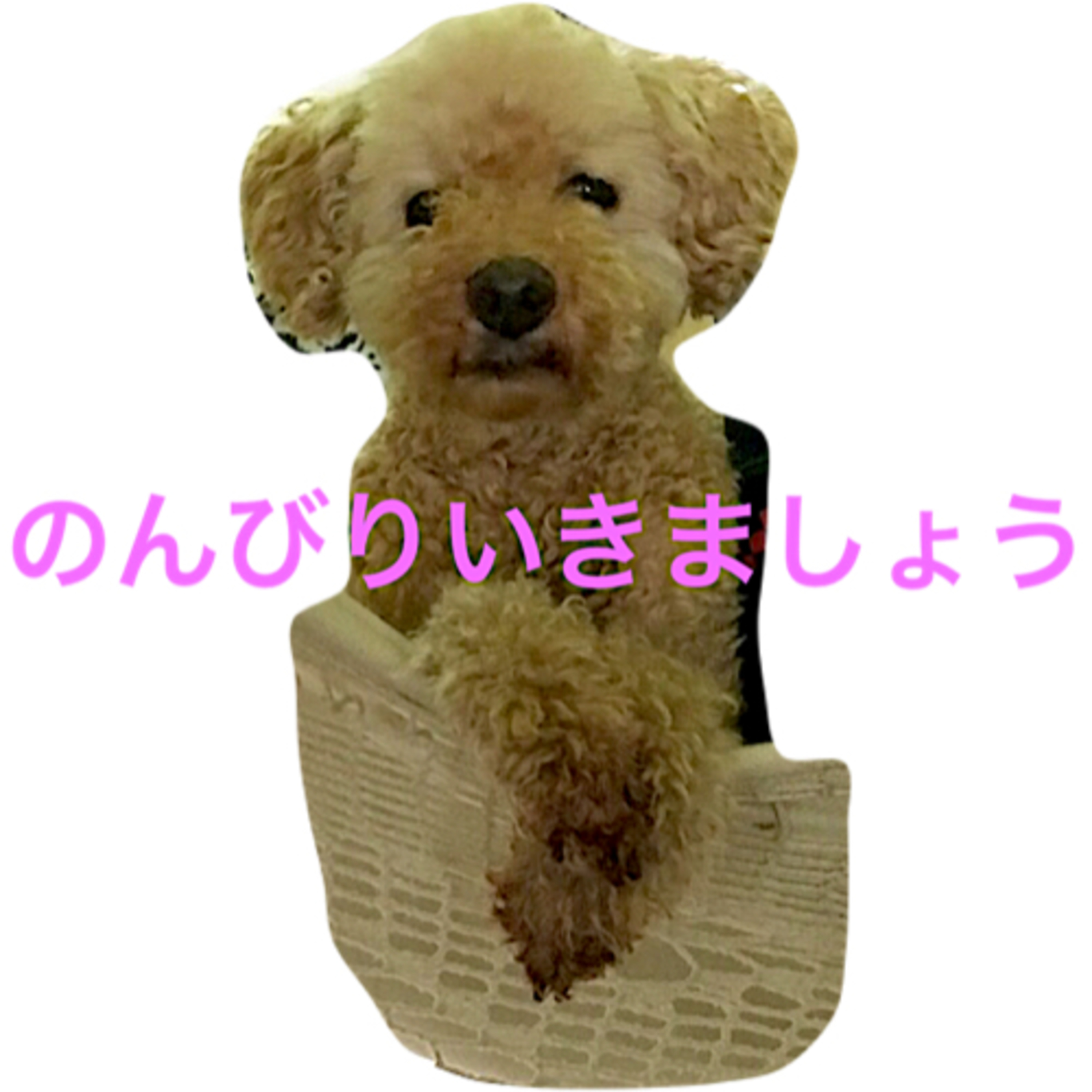 犬の超能力からの意識について雑談。 episode artwork