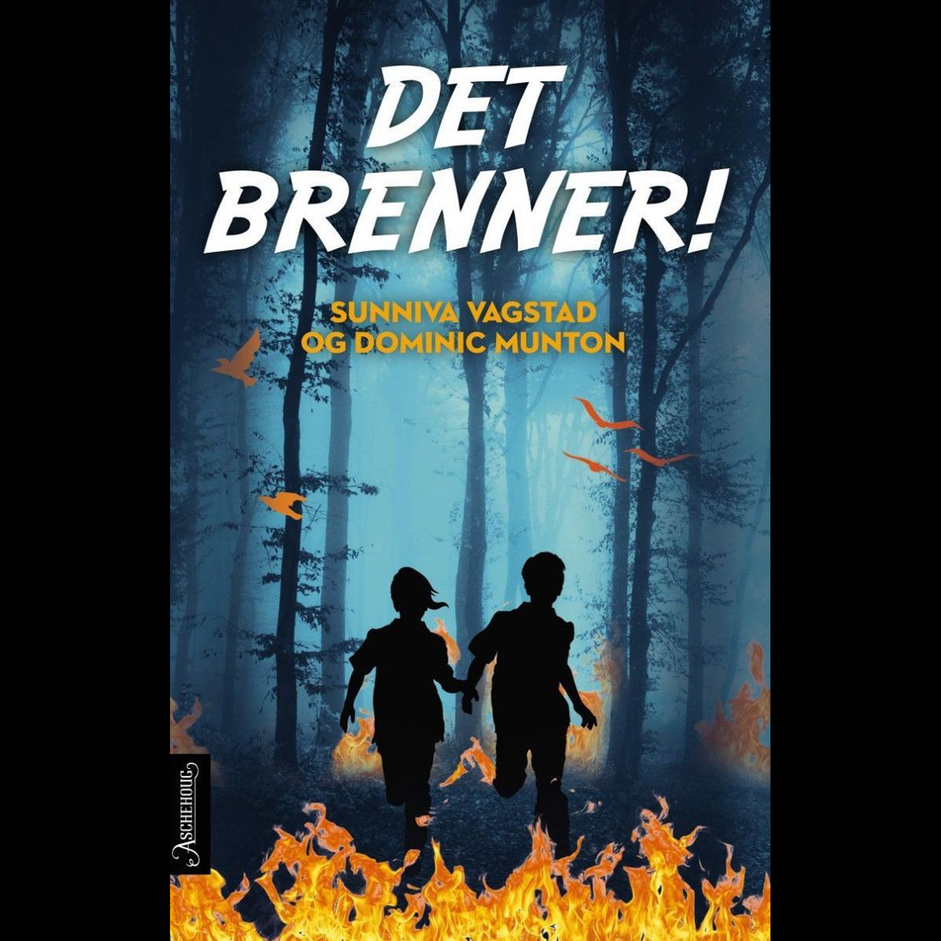 Bokfriminuttet