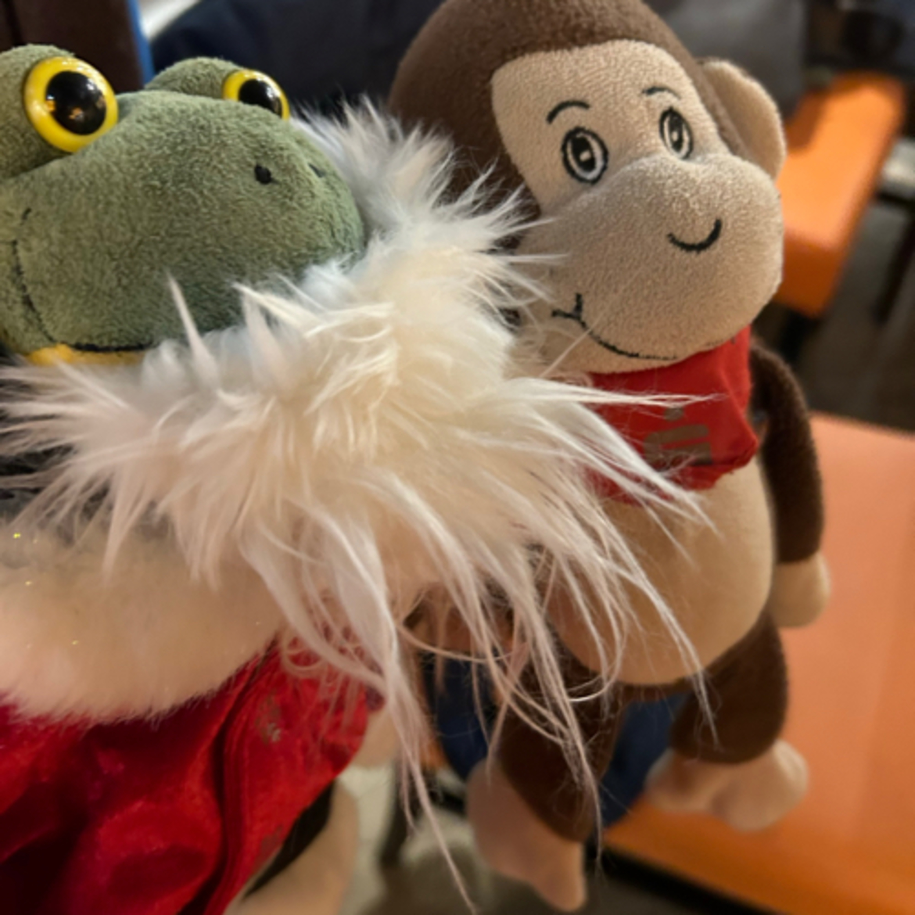 Frosch TV Ulrike Frickhard