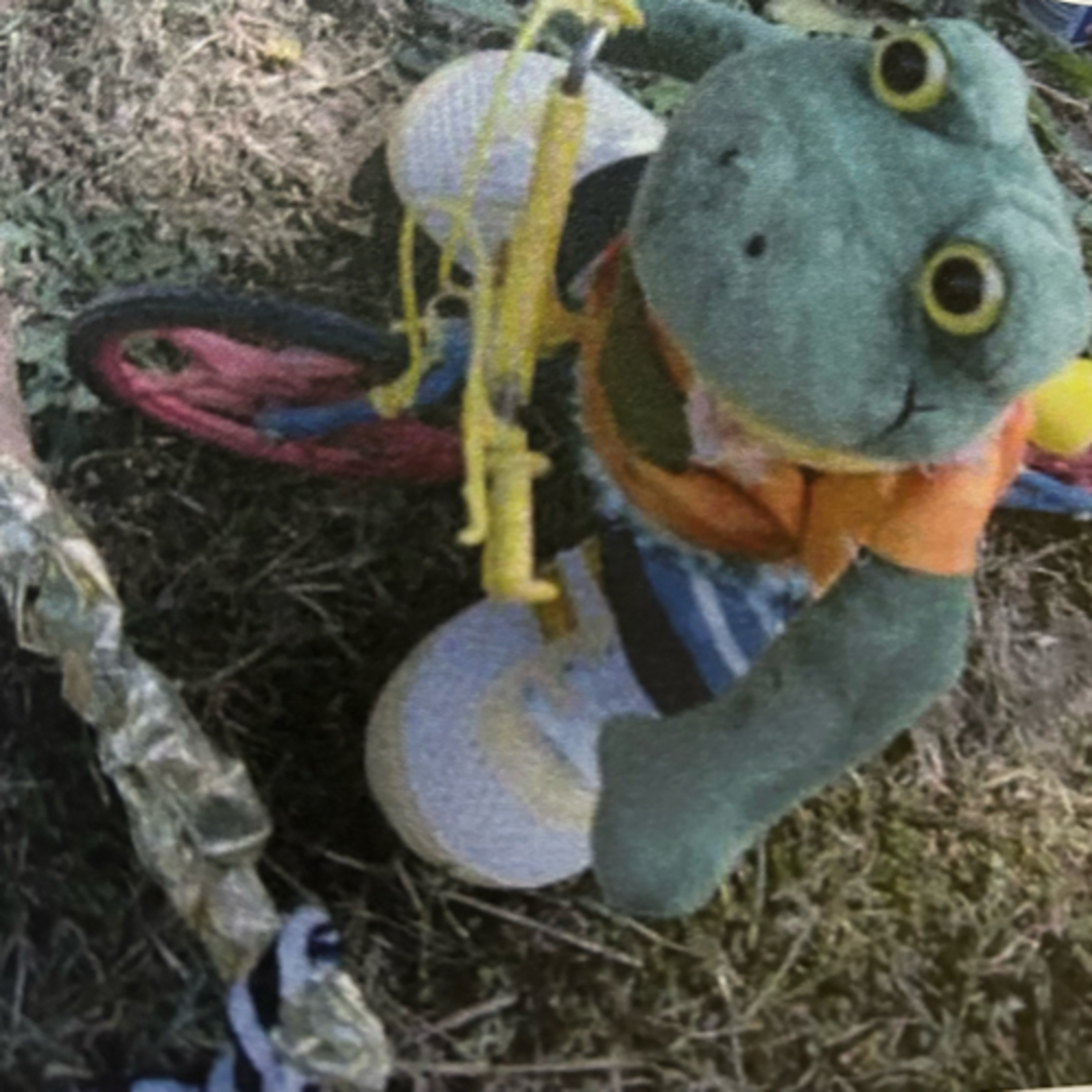 Frosch TV Ulrike Frickhard