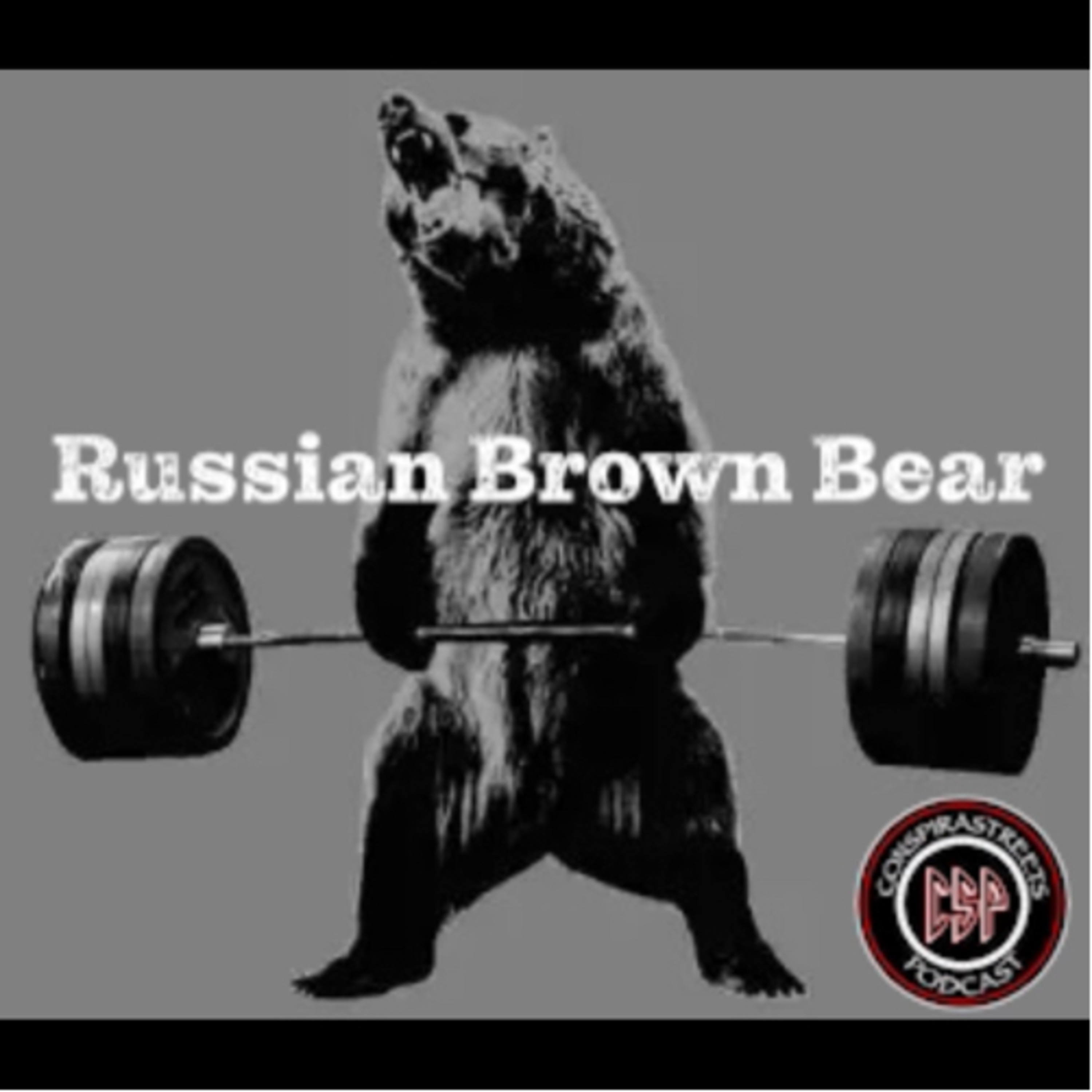 Russian brown bear episode artwork