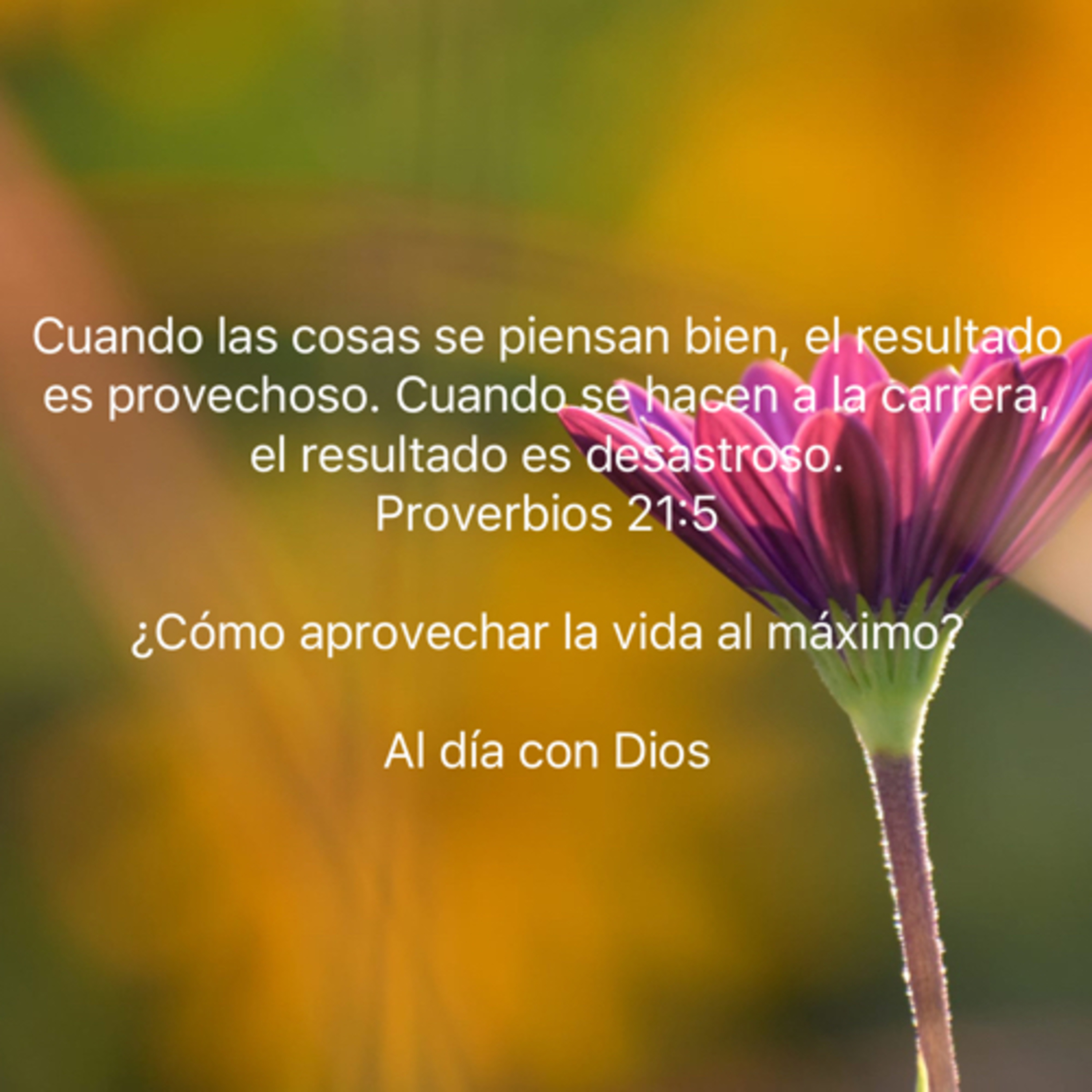 Portada de Al día con Dios