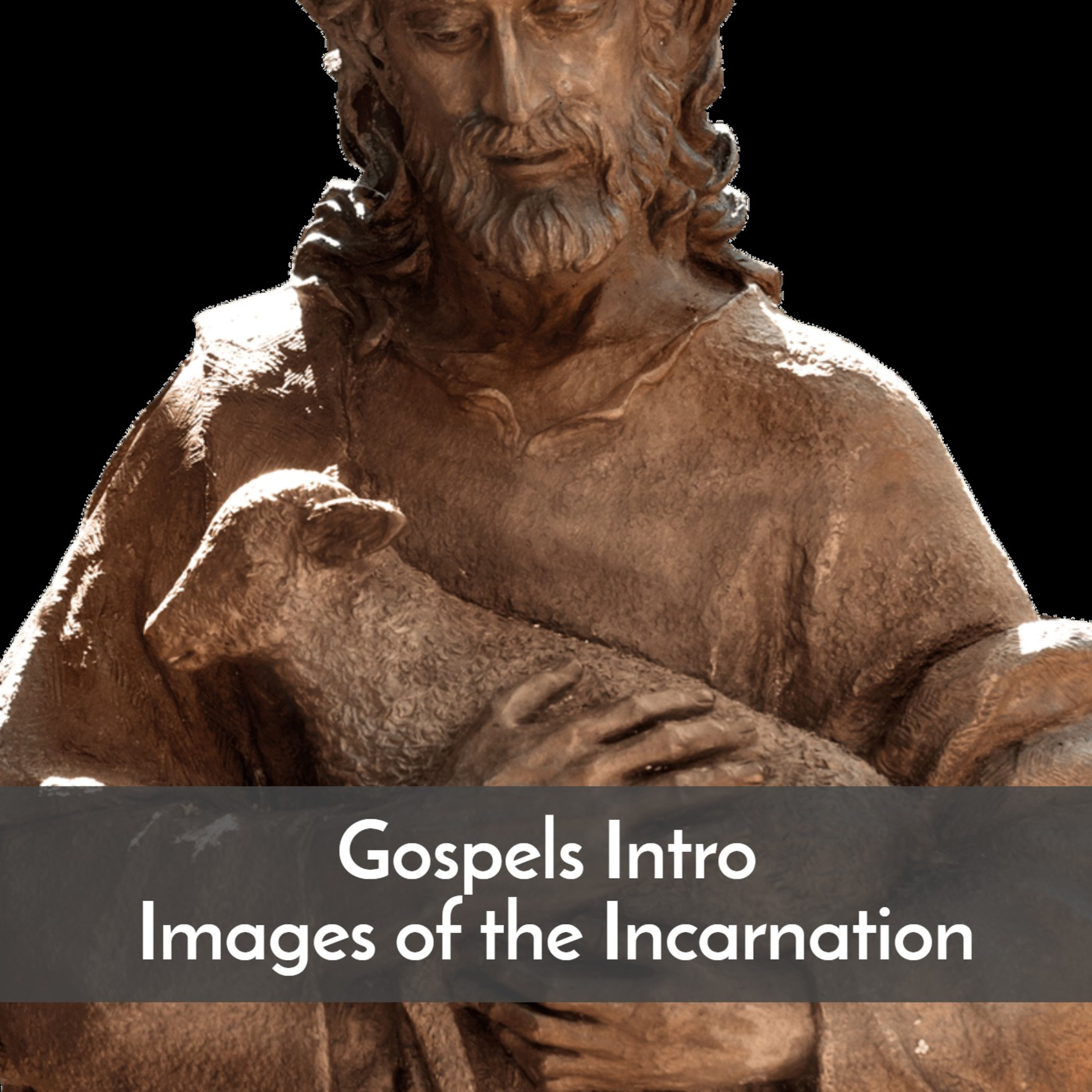 Bible 805