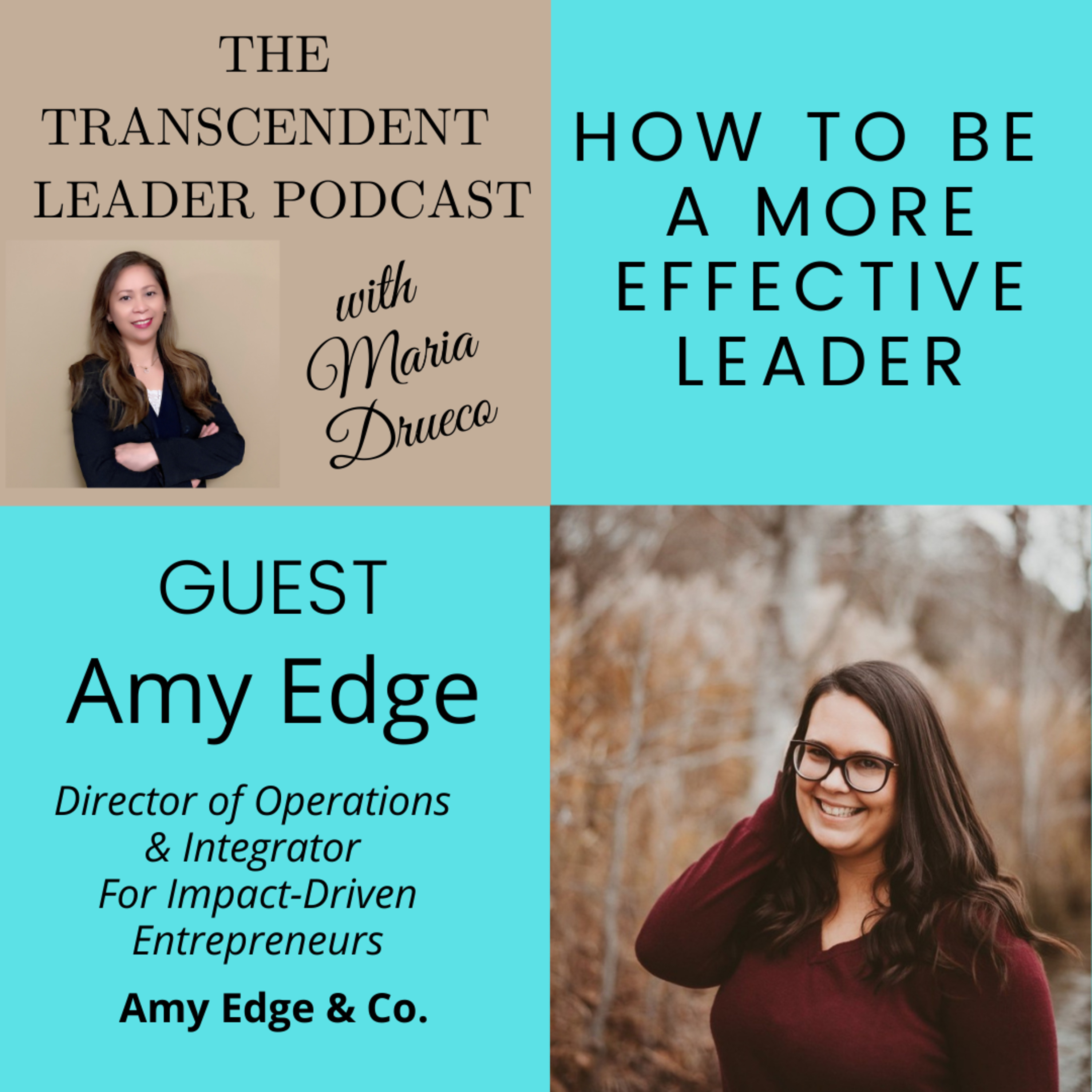 The Transcendent Leader - Journey To Inclusion