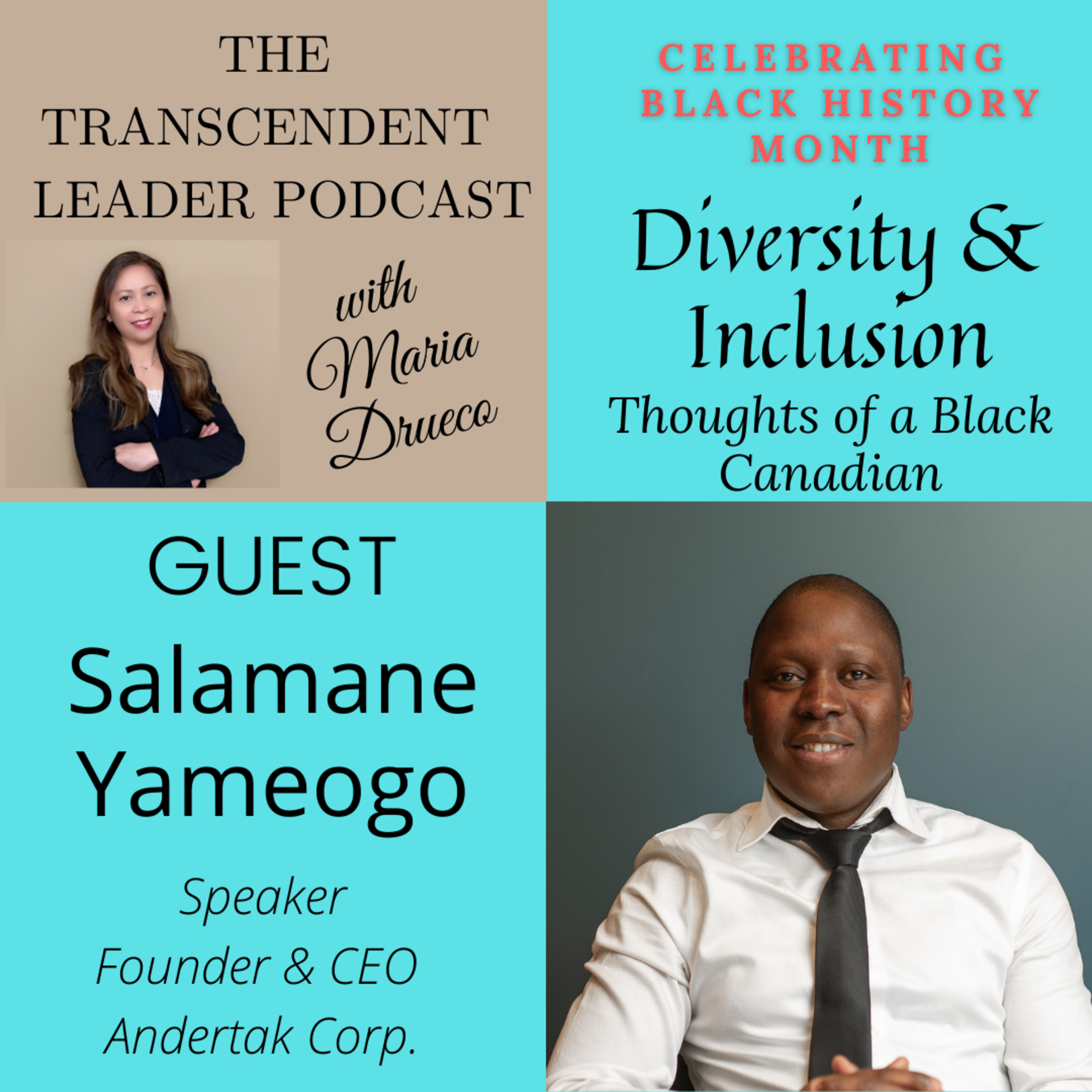 The Transcendent Leader - Journey To Inclusion