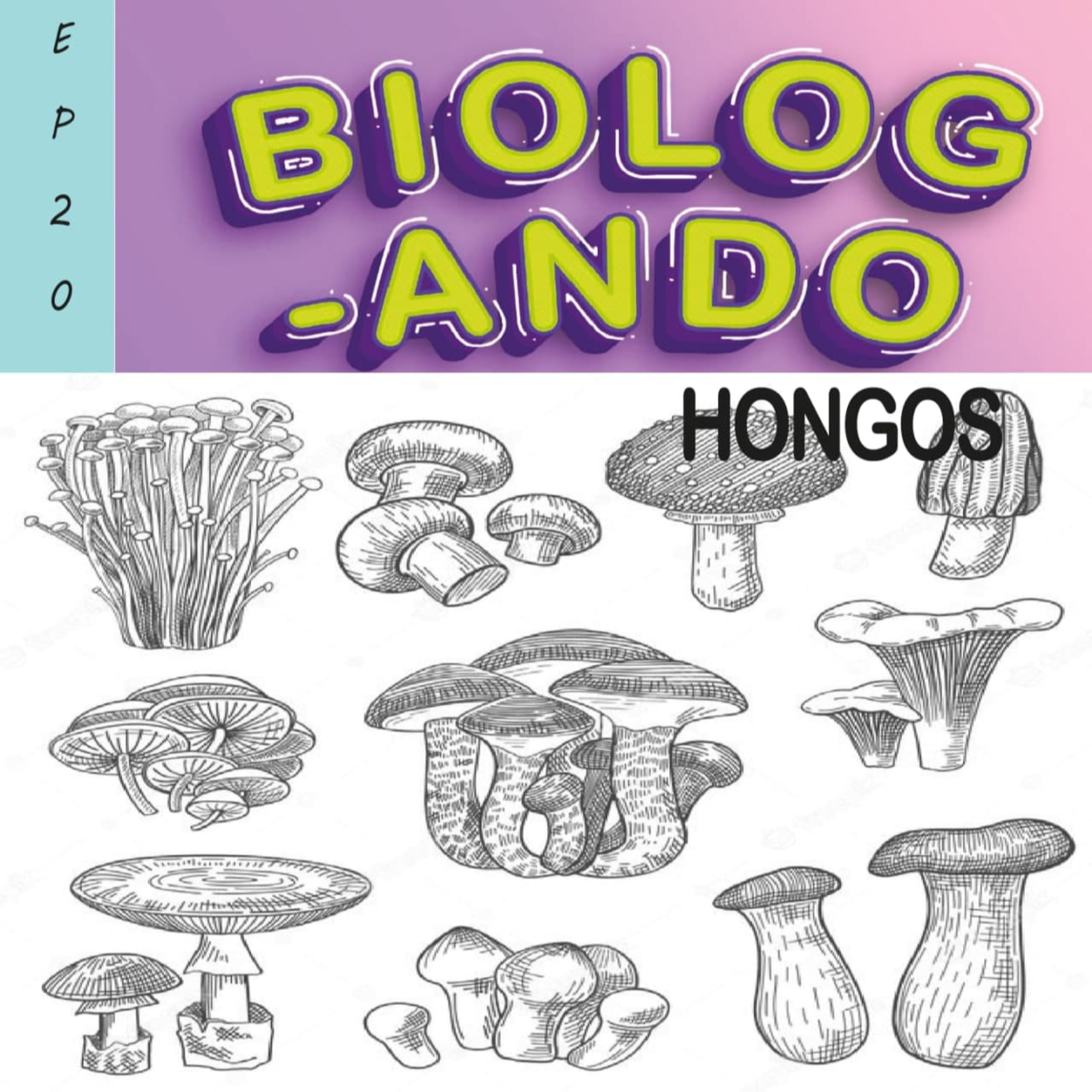 Biologando