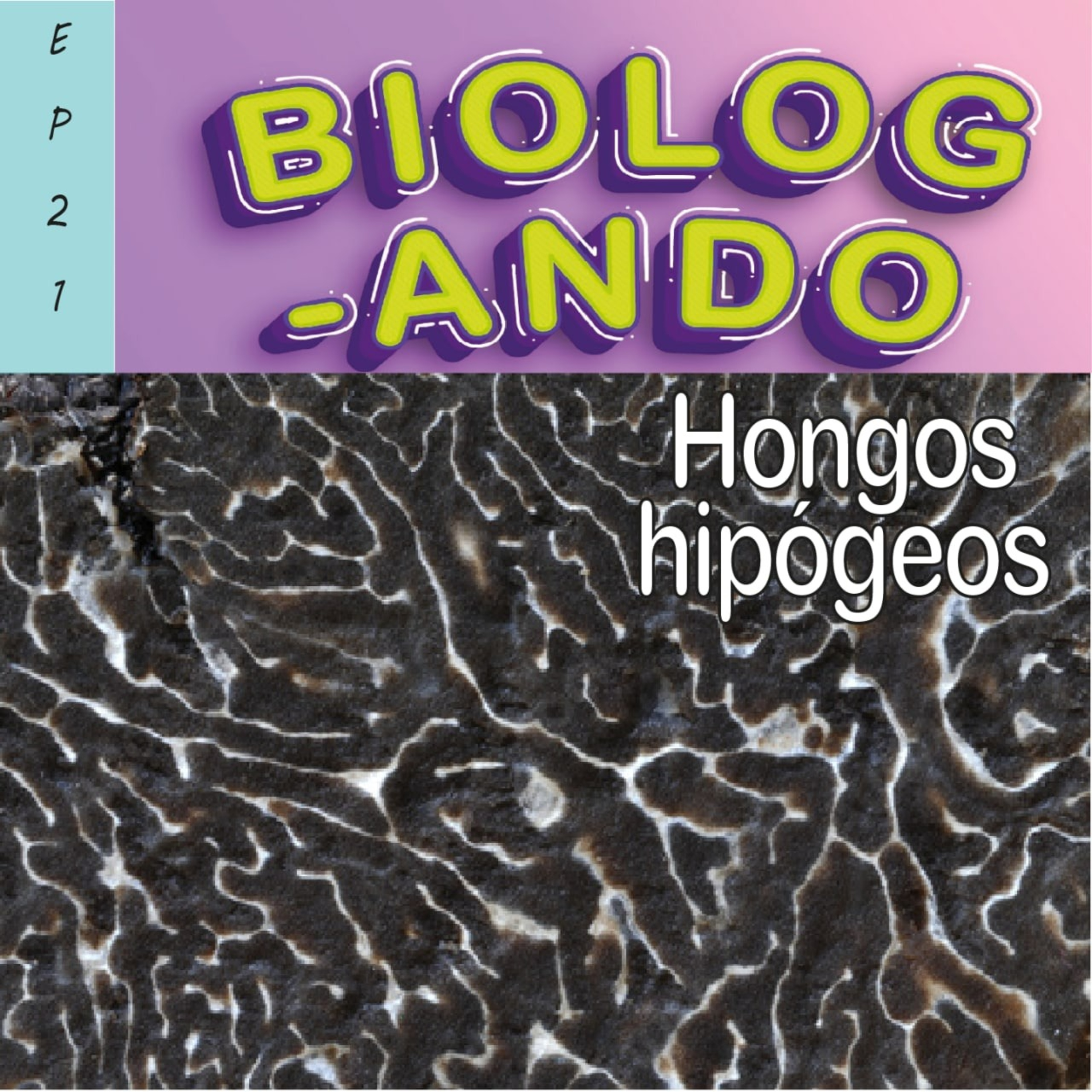 Biologando