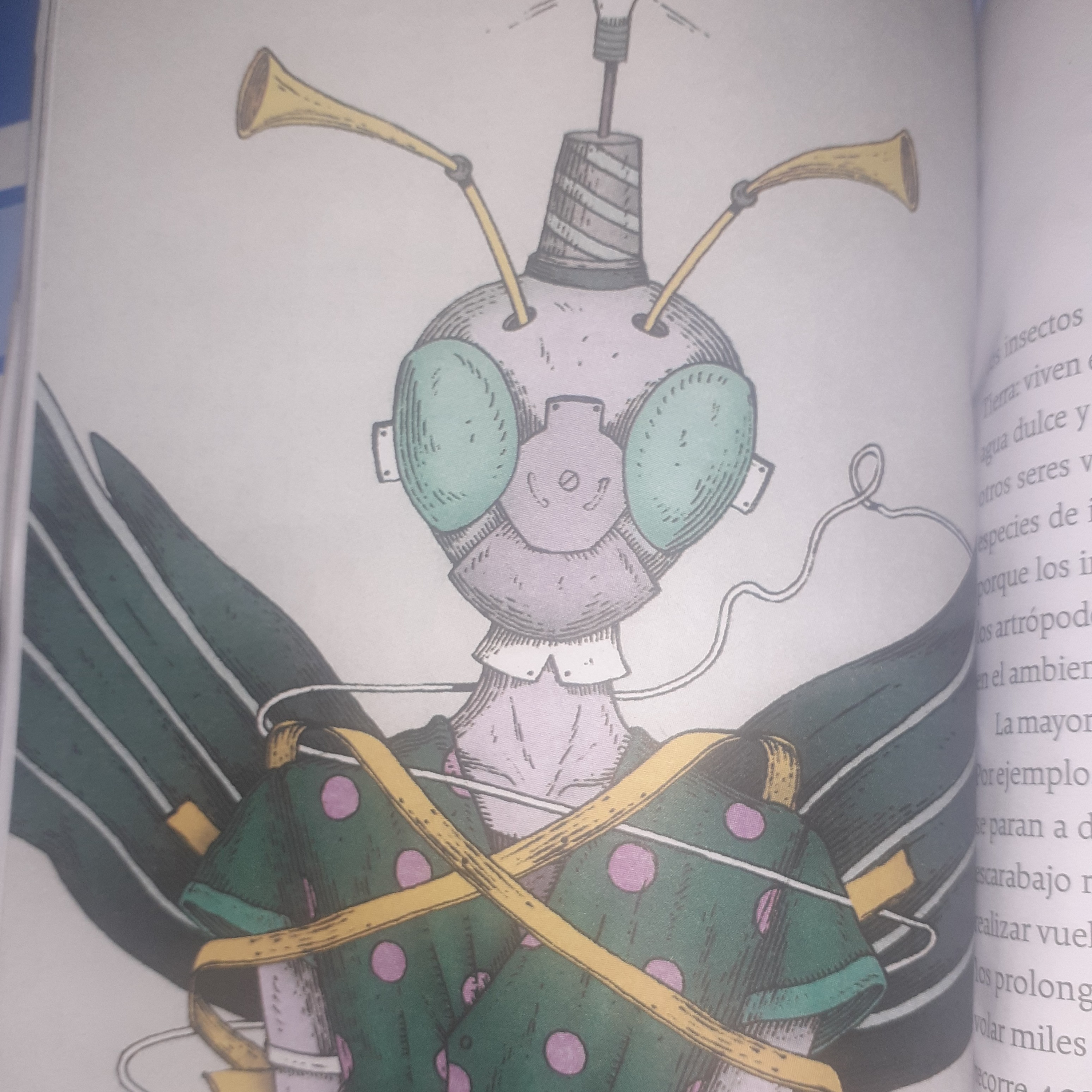 Vida de insectos  episode artwork