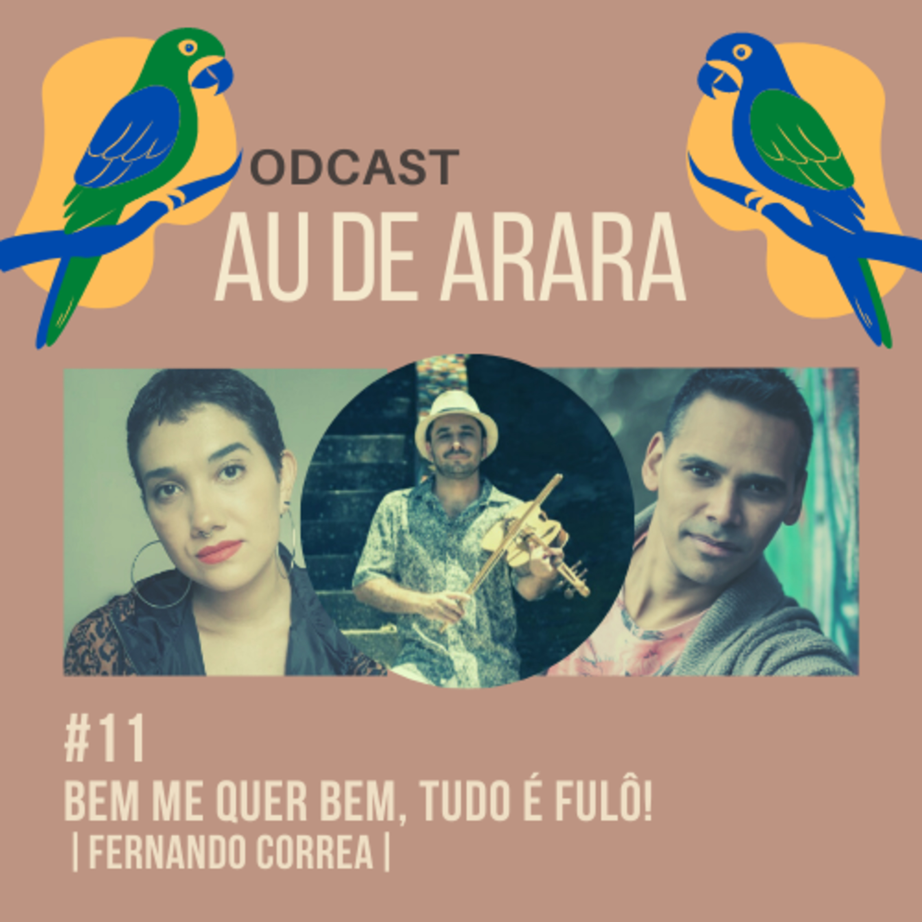 Pau de Arara