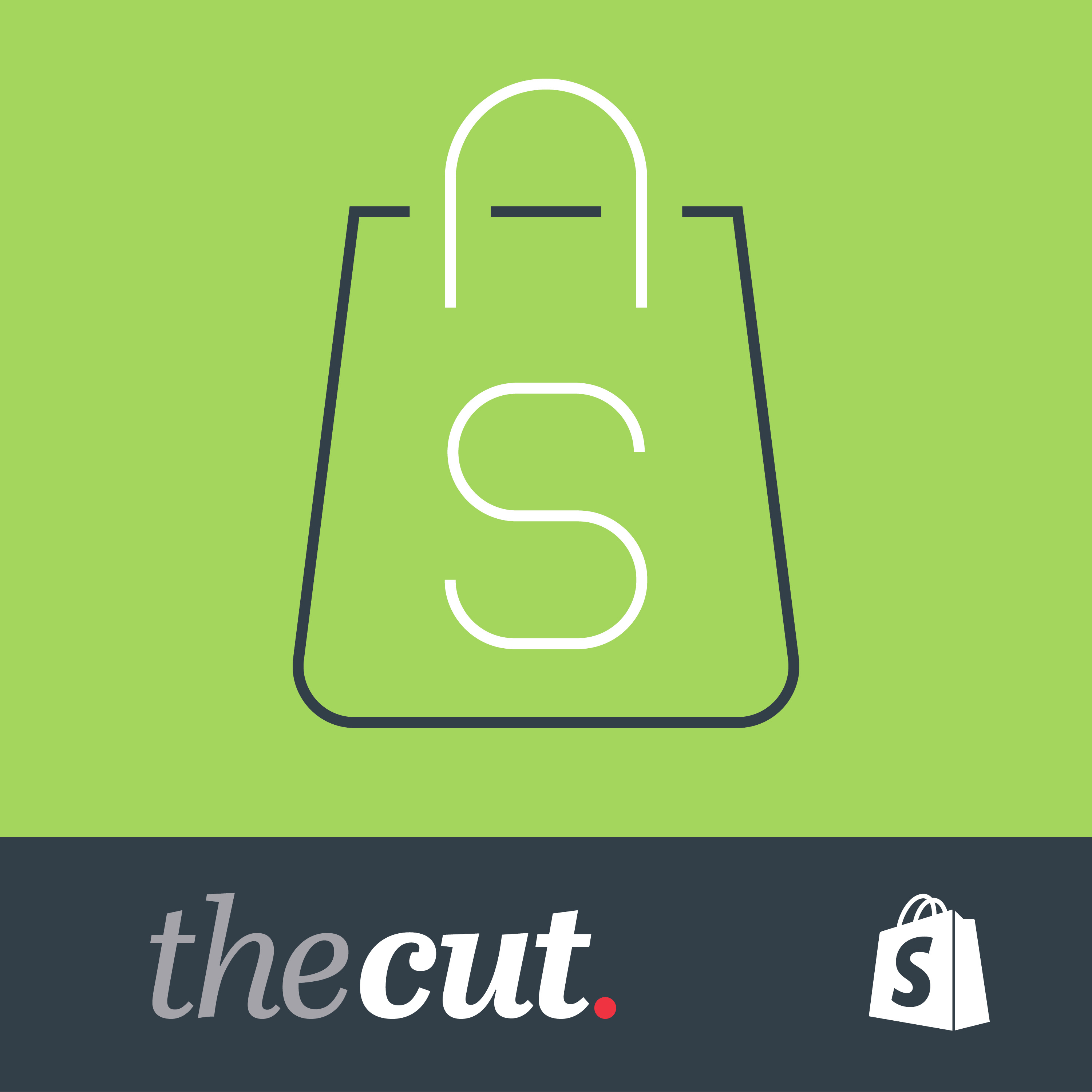 Episode 7 - Shopify - Merchant Interview - Natasha of Lucky Skates episode artwork