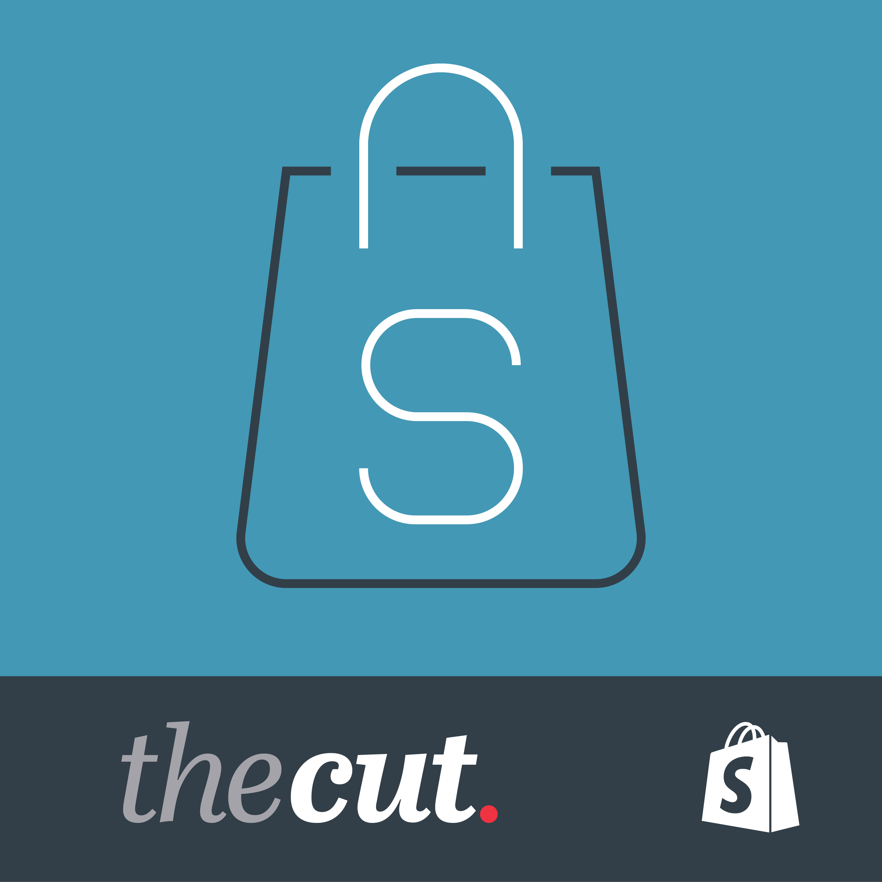 Episode 17 - Shopify - Partner Interview - Stuart Thornton of Hoolah on Ecommerce Payment Options & how they Help Merchants episode artwork
