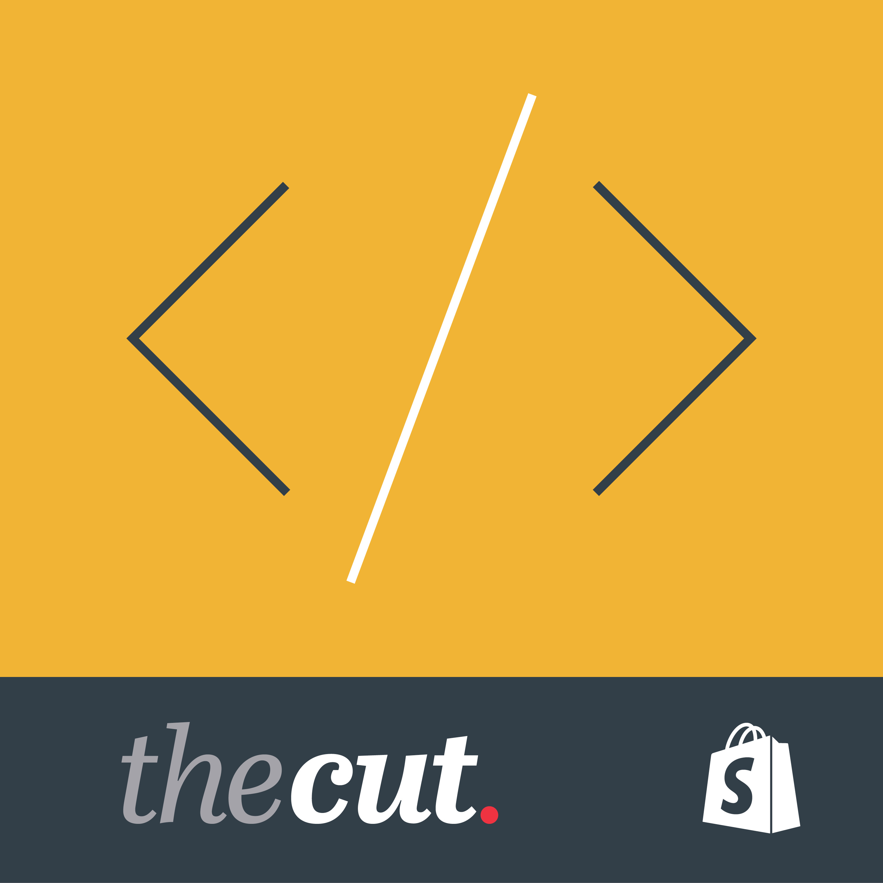 Episode 9 - Software Development - How We Help the Resources Sector & Bigger Companies episode artwork