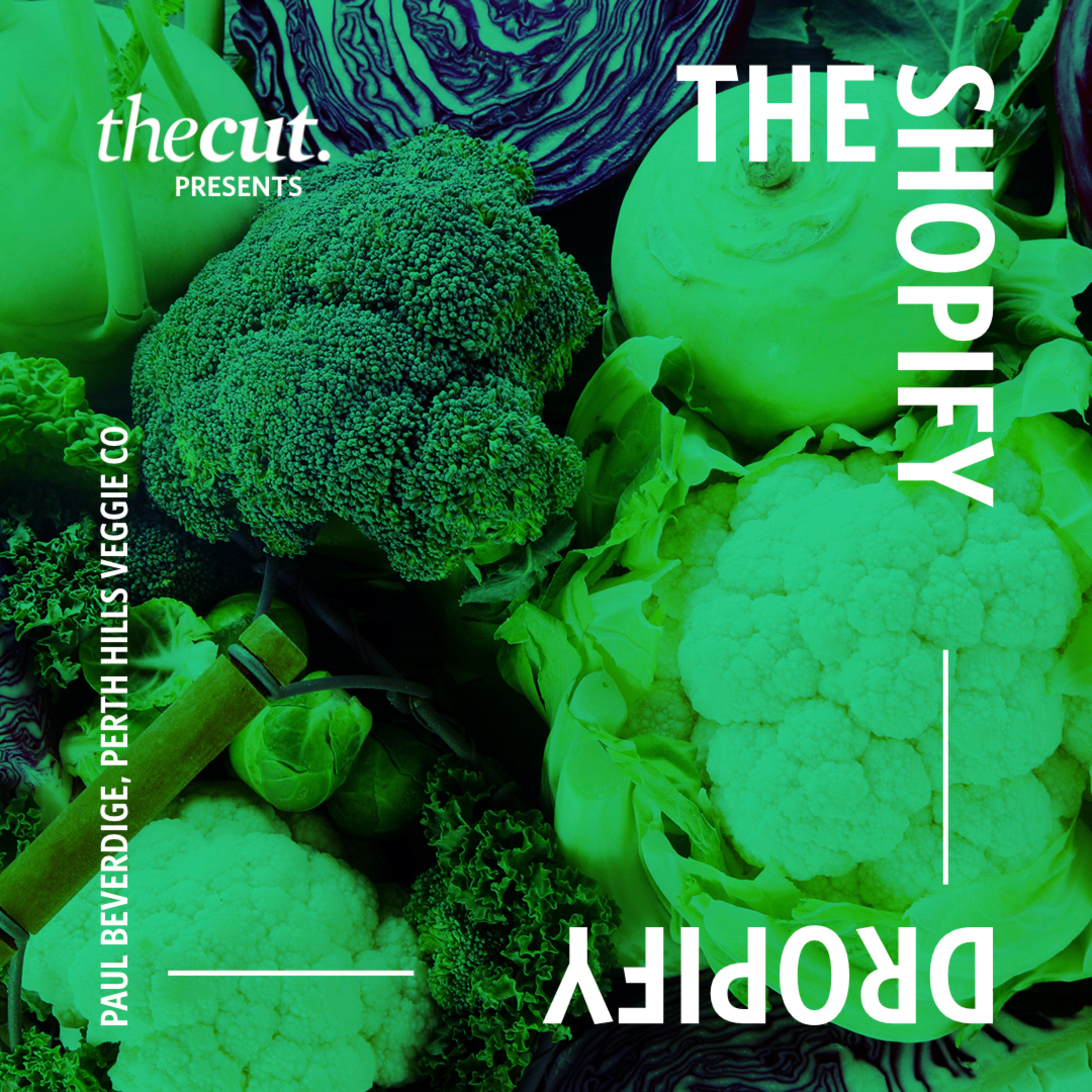 Episode 46 - Shopify - Merchant Interview - Paul from Perth Hills Veggie Co on the organic growth of an online seeds business episode artwork