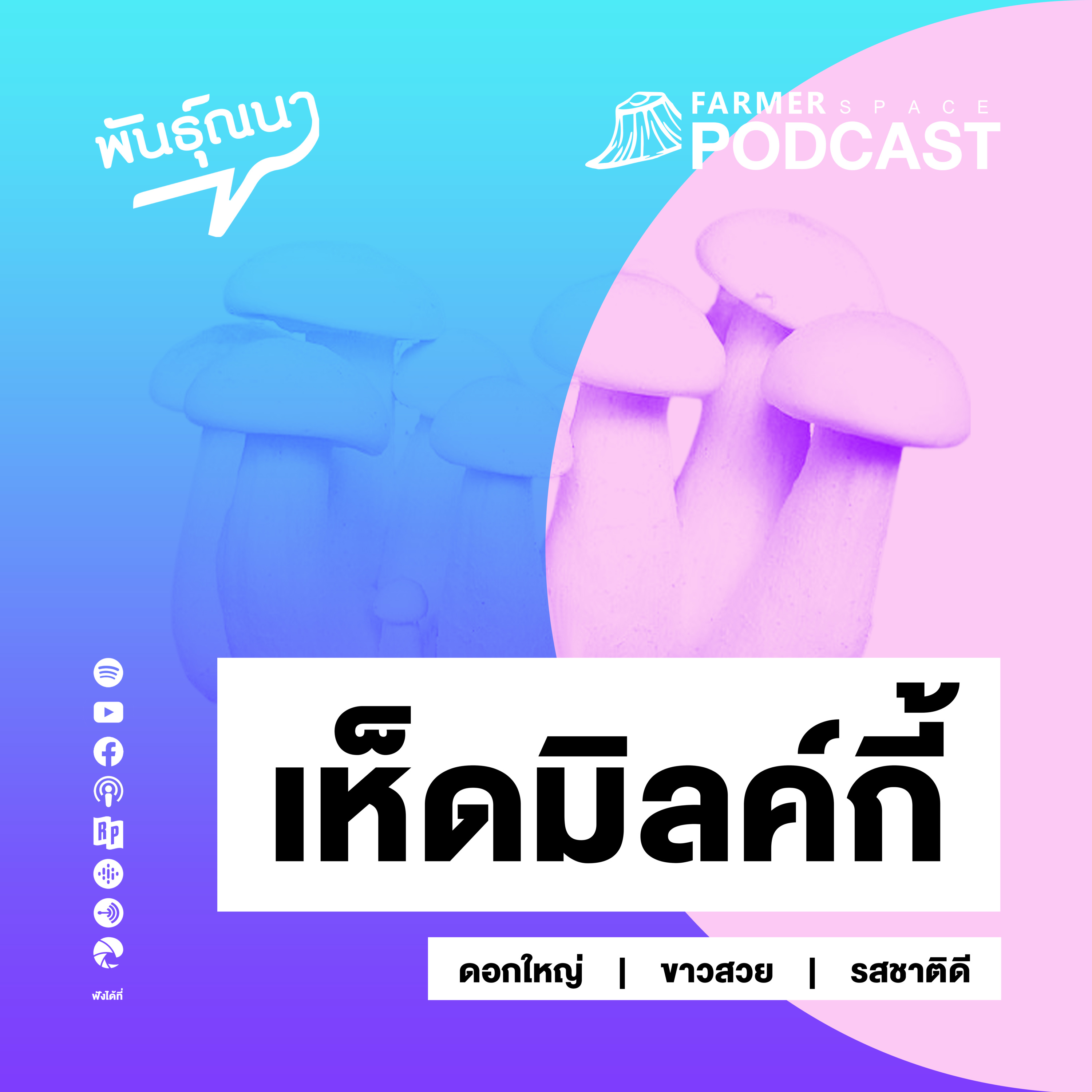 FarmerSpace