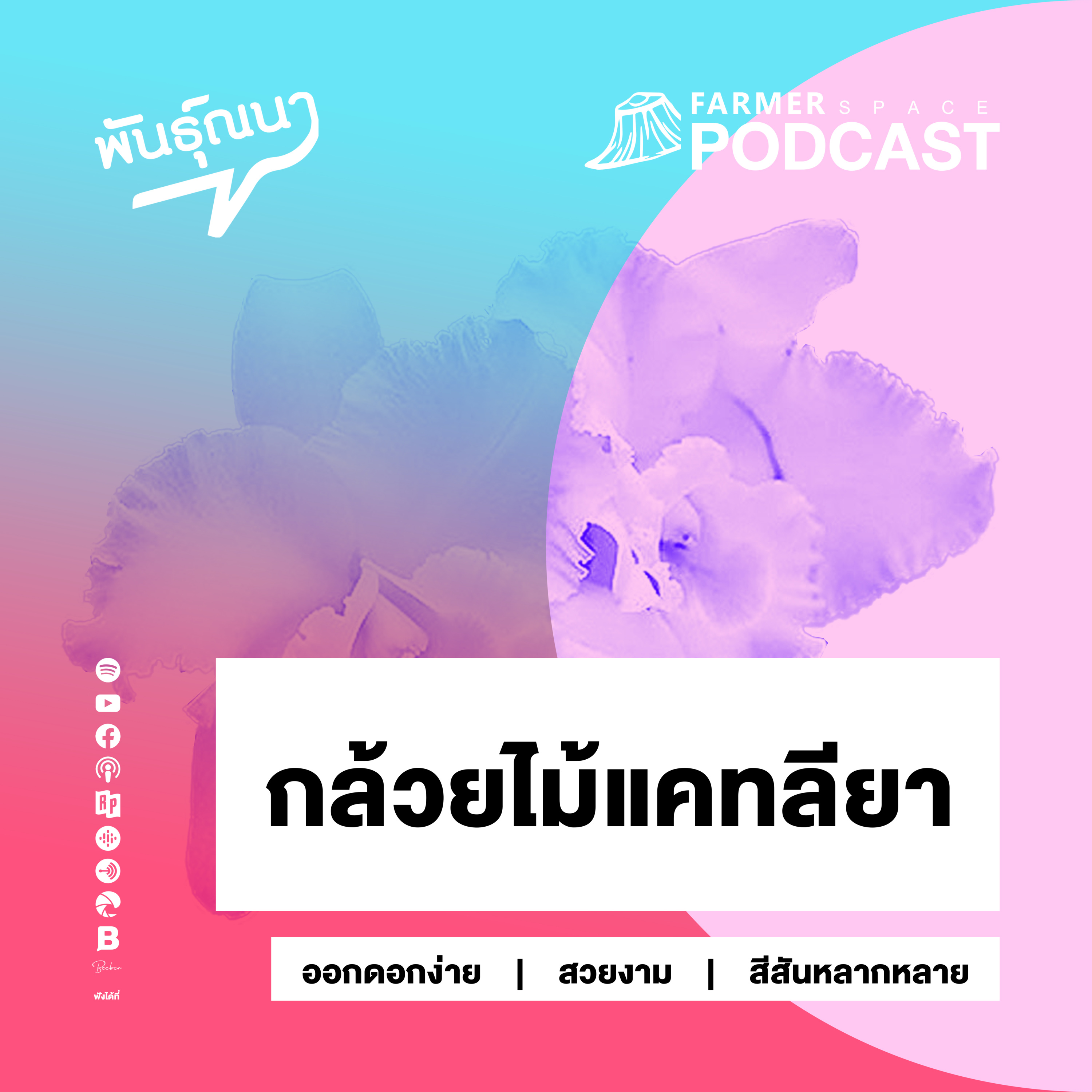 FarmerSpace