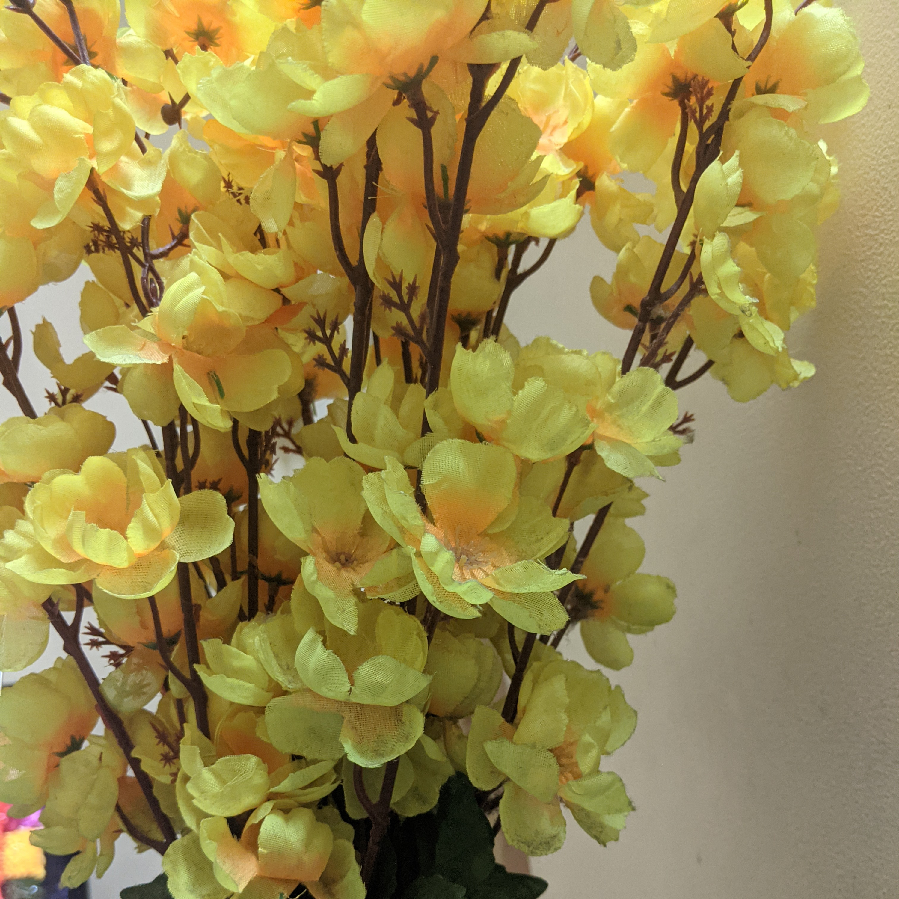 Vasu ki Vastu introduces Flower - Guldusta