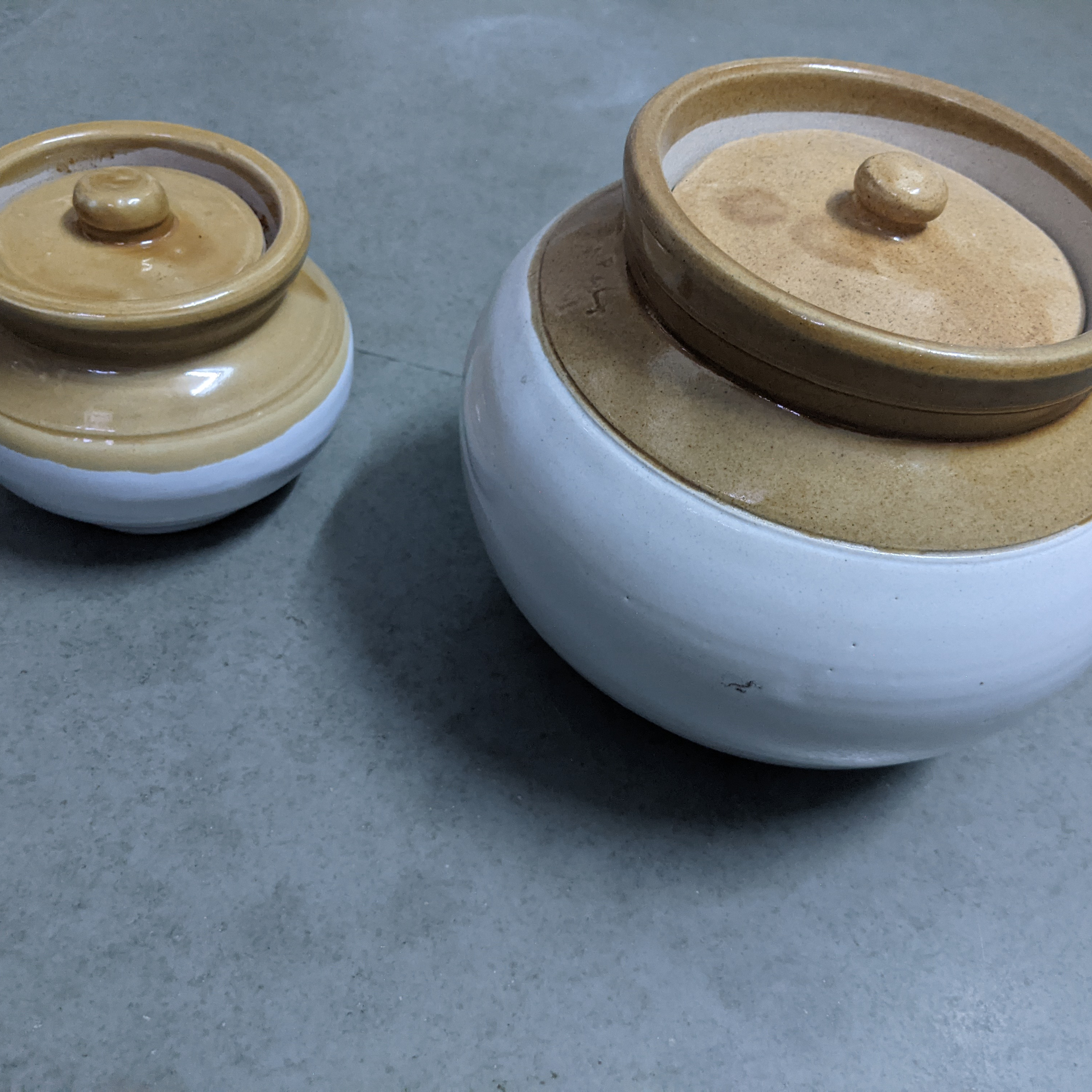 Vasu Ki Vastu introduces Salt