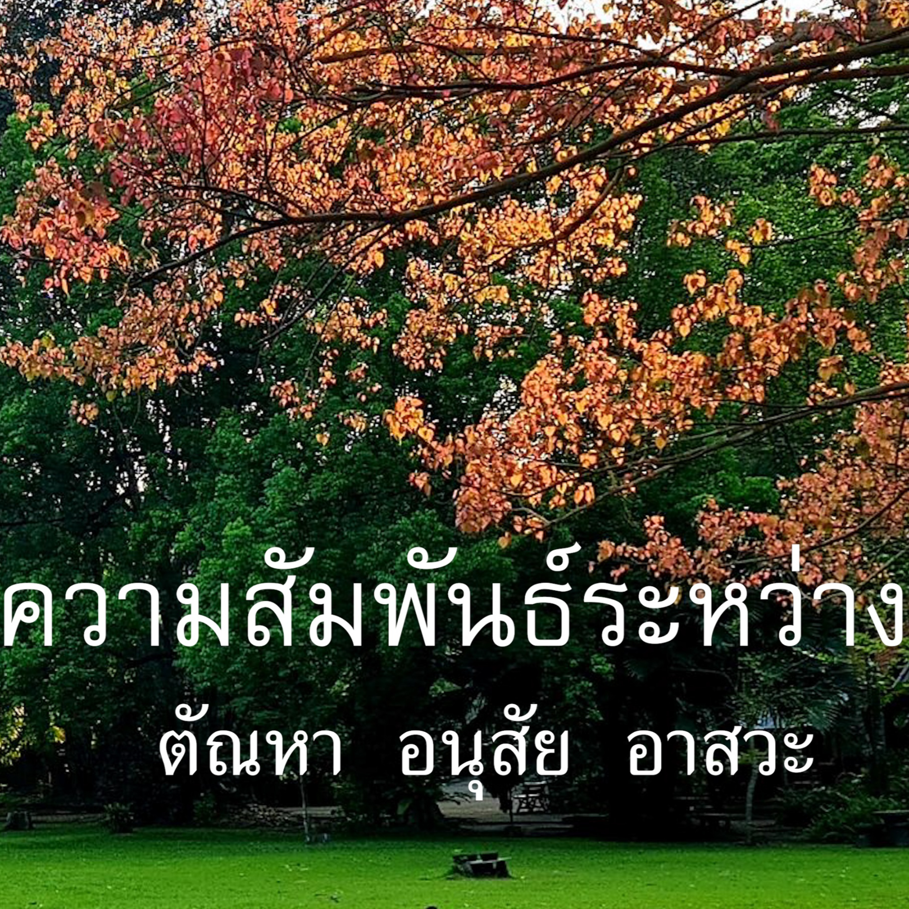 ความสัมพันธ์ระหว่าง ตัณหา อนุสัย อาสวะ Group Sitting 2022-04-24 episode artwork
