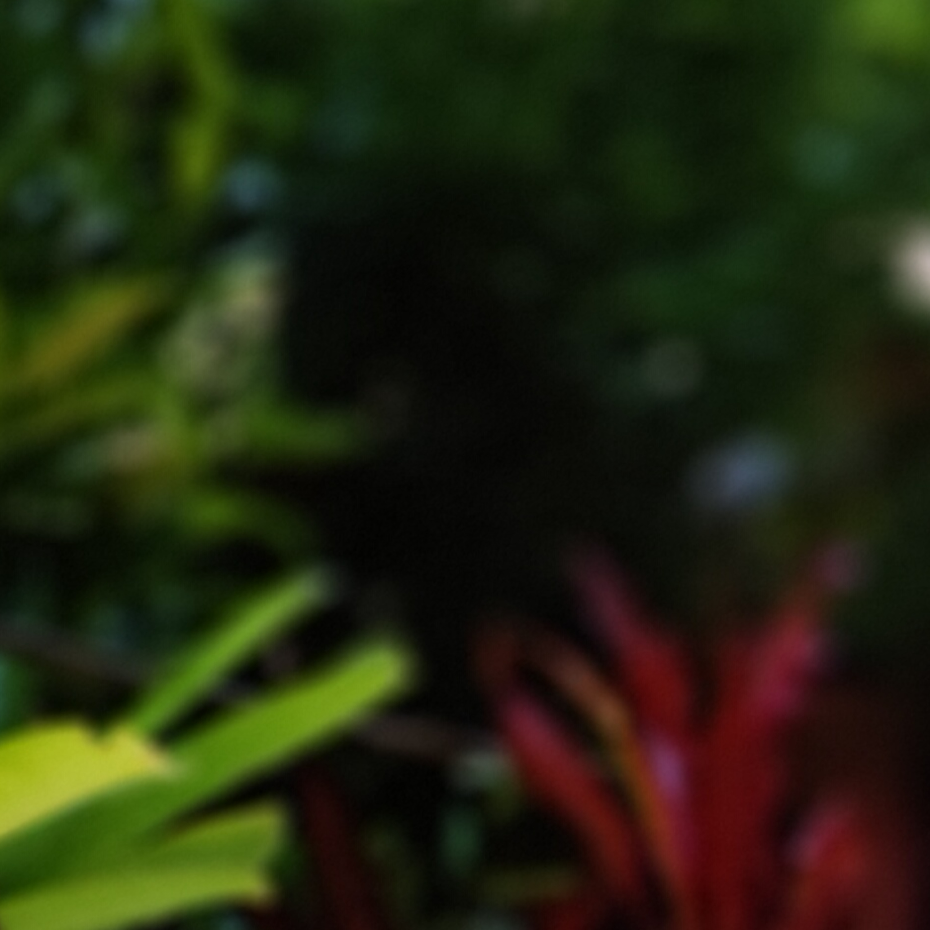 มหาวิปัสสนา เหตุแห่งความพ้นทุกข์ Group Sitting 2022-08-14