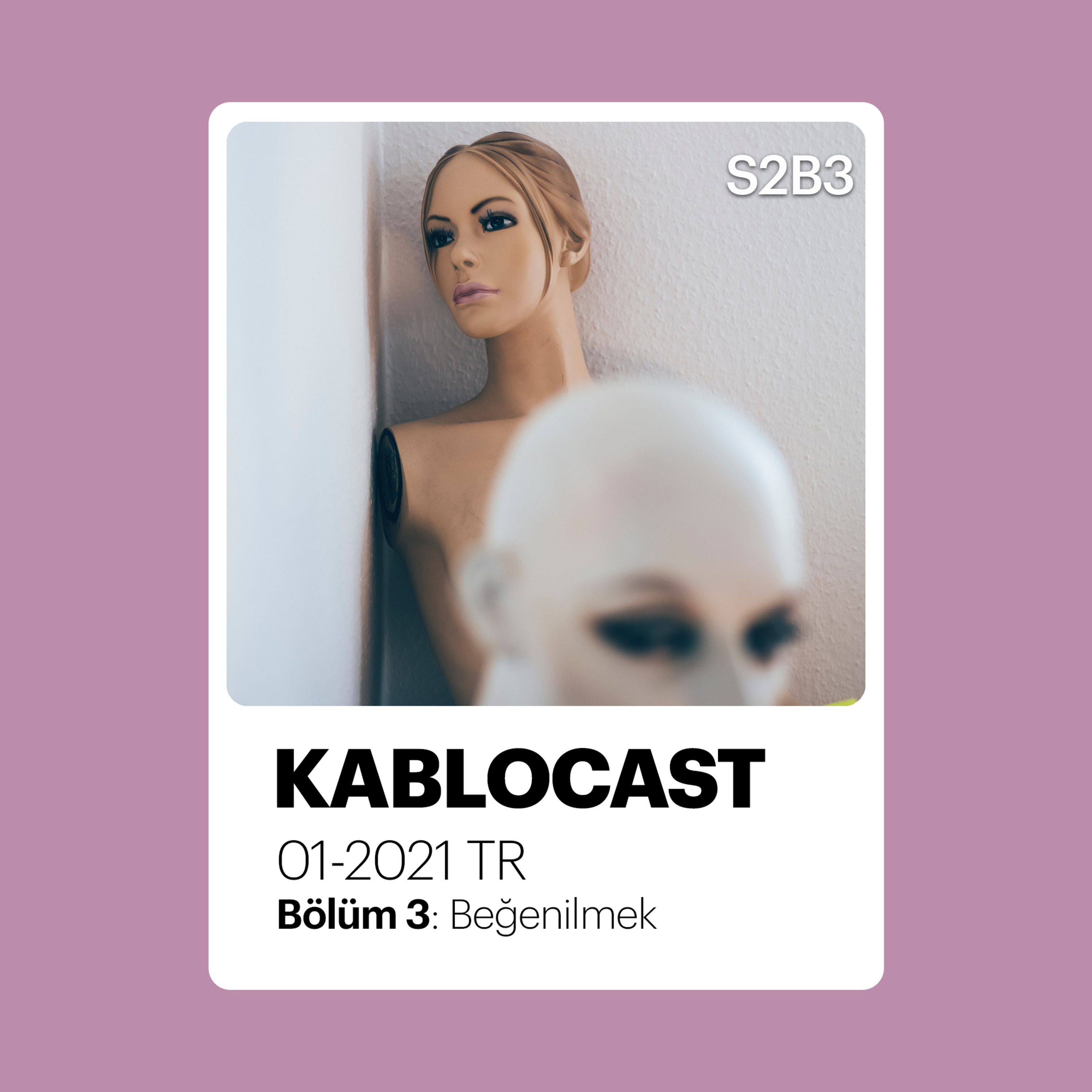 S2B3: Beğenilmek episode artwork