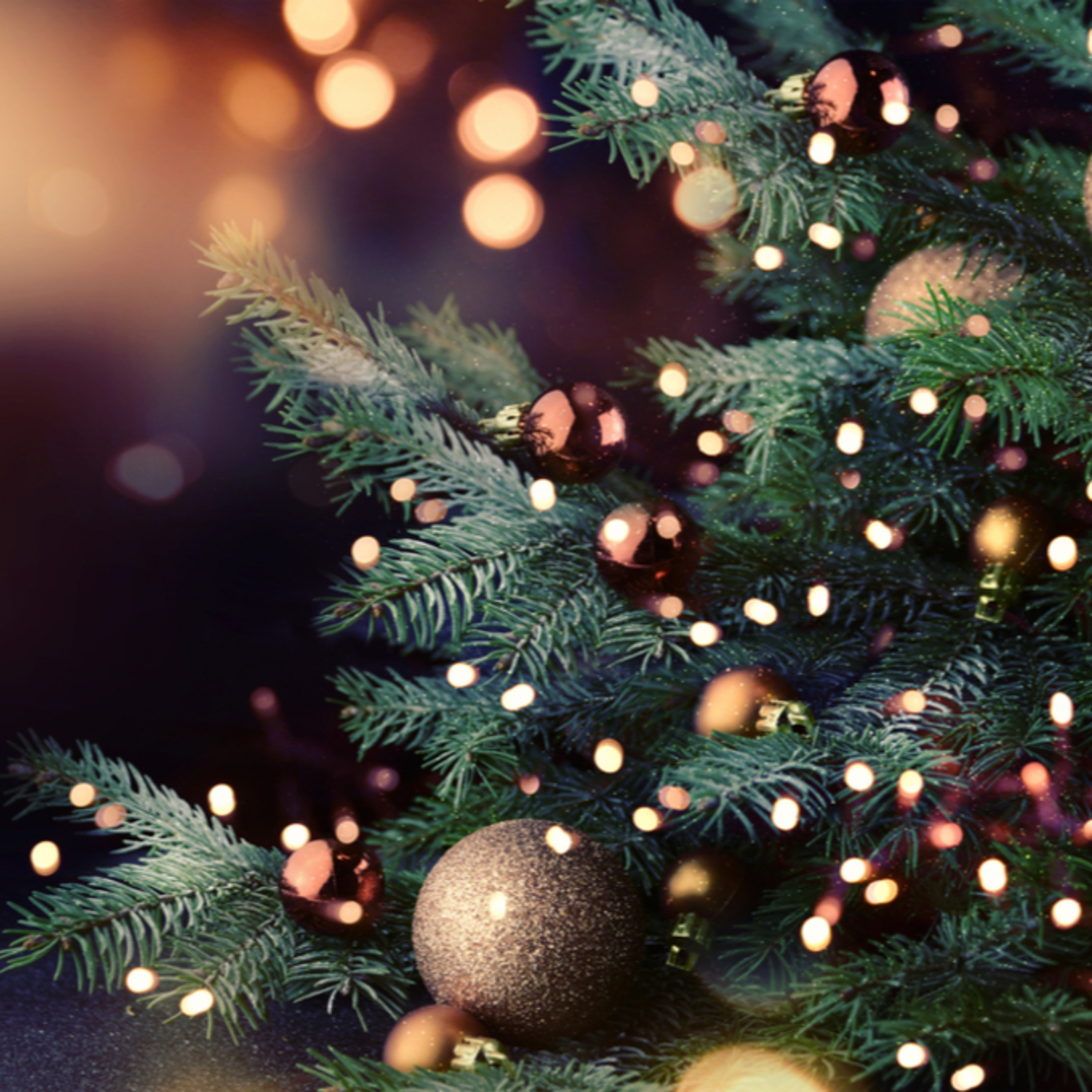 Penna-Tinkit: un Podcast di Giuseppe Vignanello