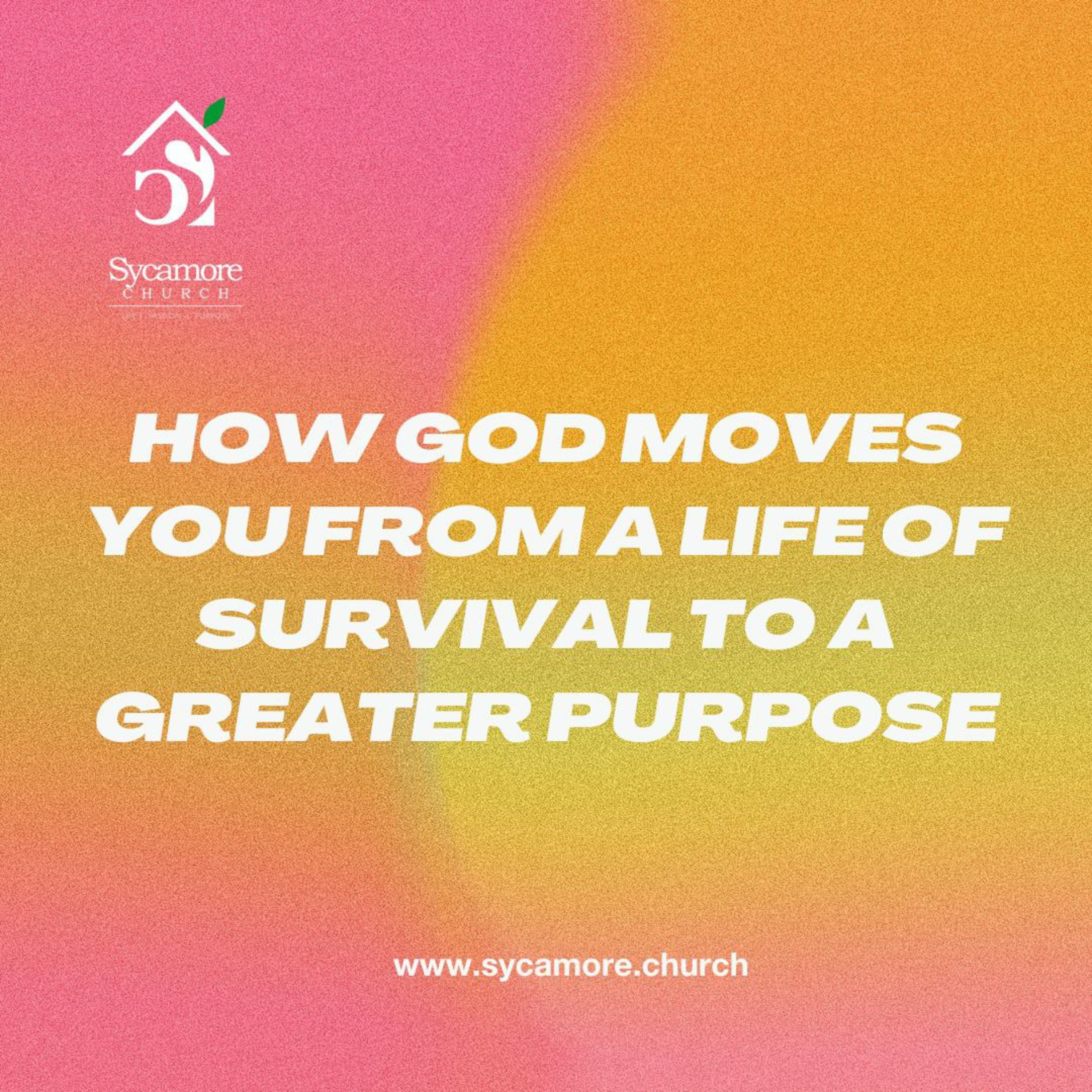 How God Moves You From A Life Of Survival To A Life Of Greater Purpose | Pastor Tolulope Moody | Sycamore Church episode artwork